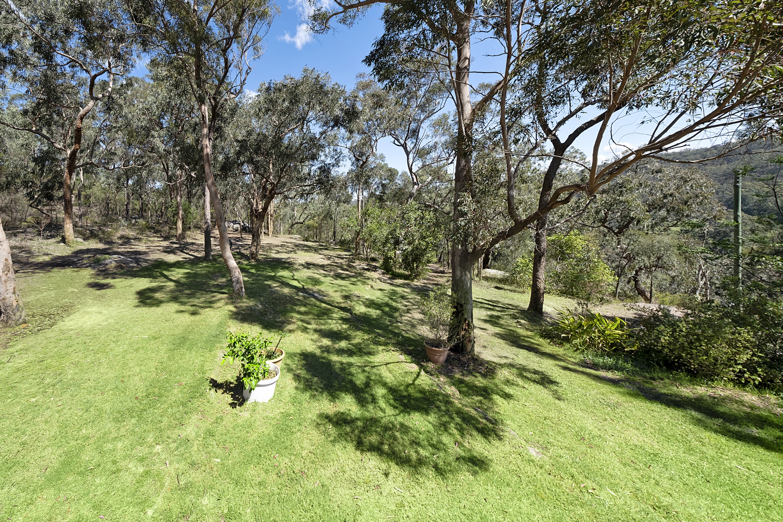 733 River Road, Lower Portland For Sale by Cutcliffe Properties - image 7