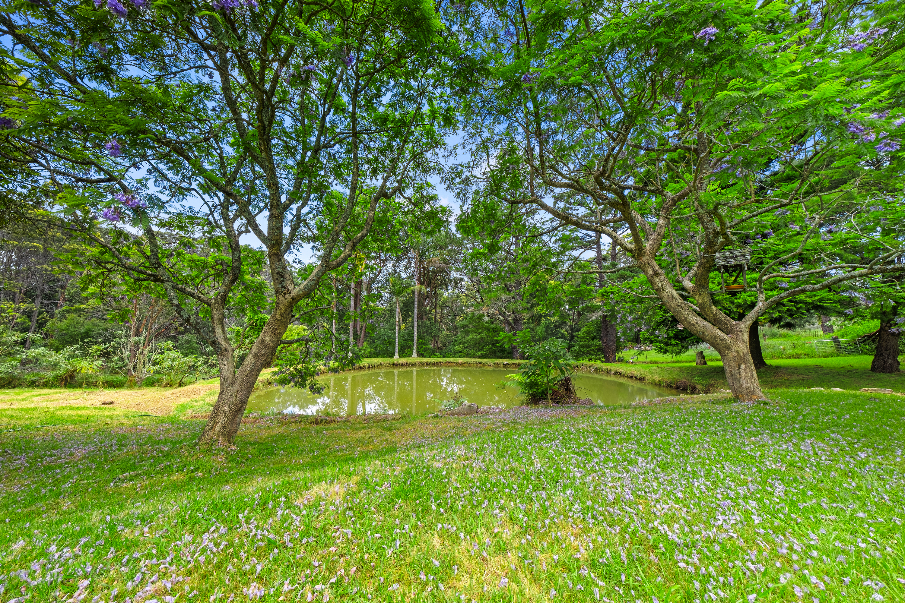 1794 Bells Line of Road, Kurrajong Heights Sold by Cutcliffe Properties - image 10