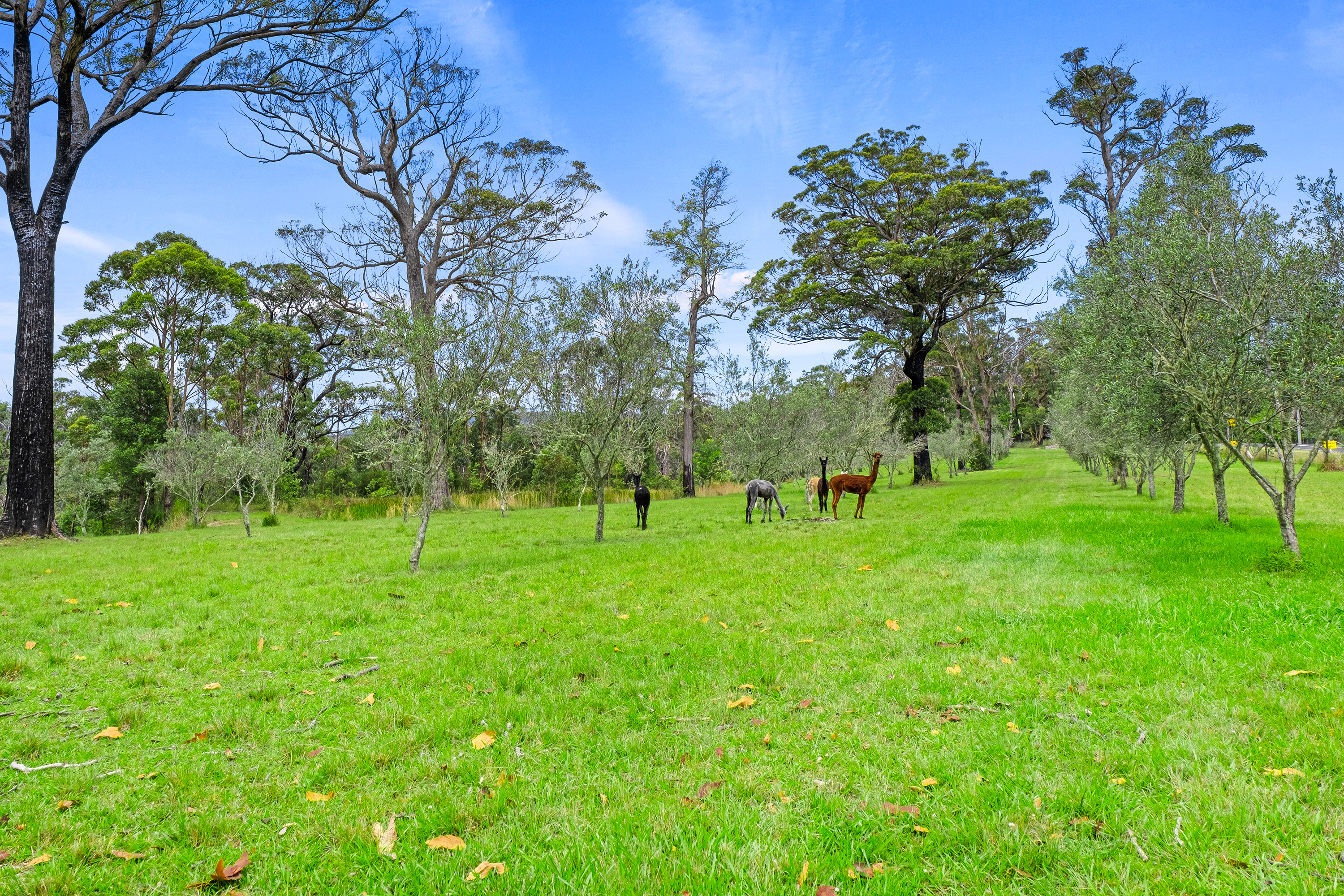 1794 Bells Line of Road, Kurrajong Heights Sold by Cutcliffe Properties - image 2