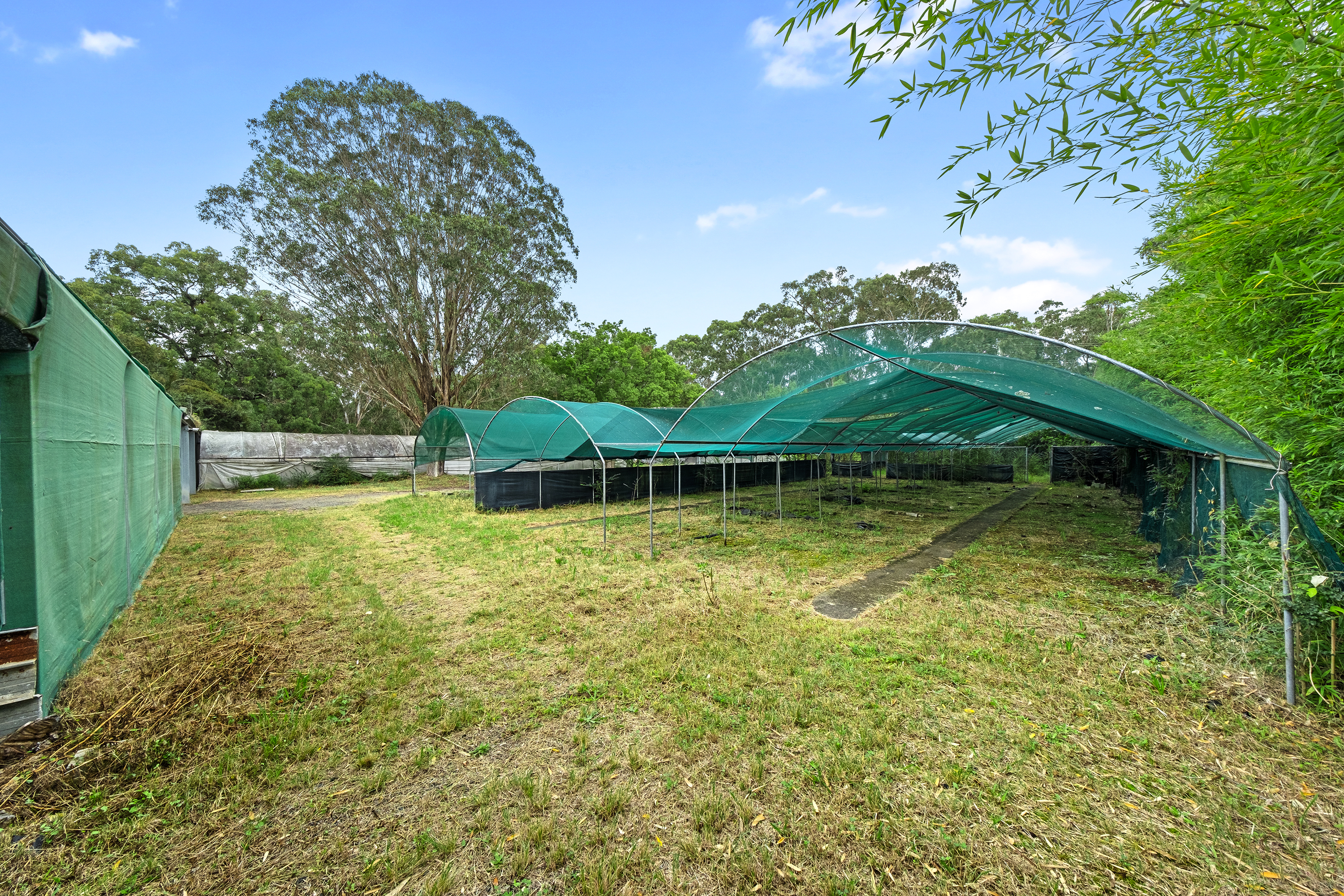 70 Norwood Road (previously O'Connell Street), Vineyard Sold by Cutcliffe Properties - image 11