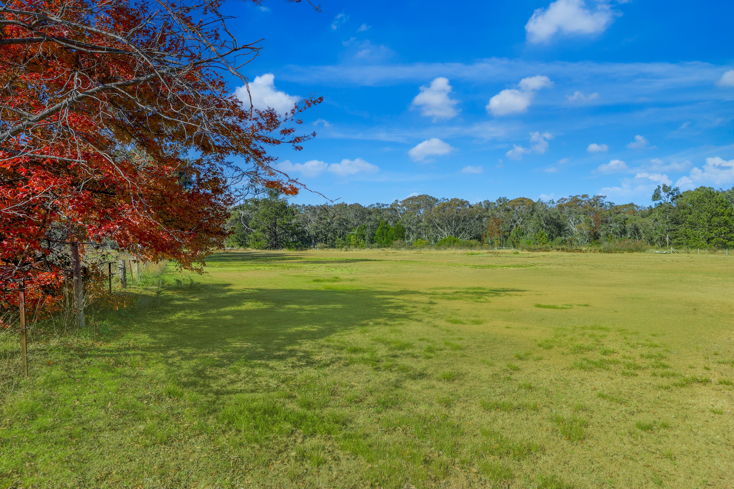 2-4 Rickards Road, Agnes Banks For Sale by Cutcliffe Properties - image 22