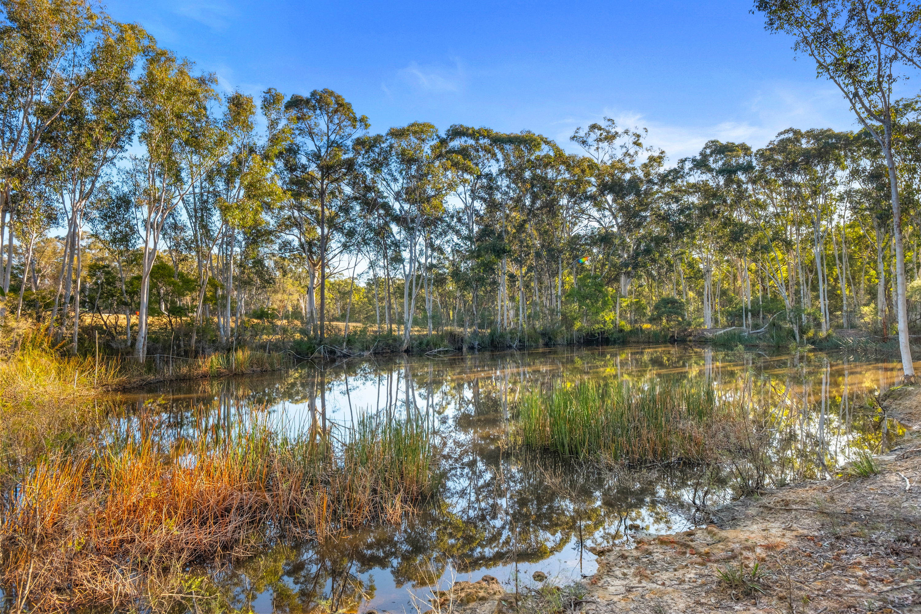 300a Maguires Road, Maraylya For Sale by Cutcliffe Properties - image 19