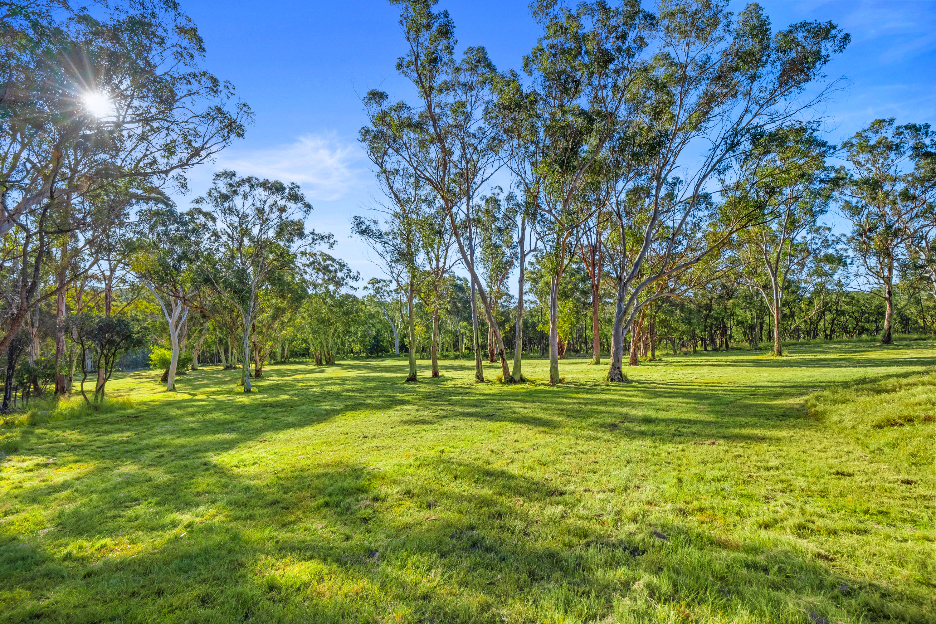 300a Maguires Road, Maraylya For Sale by Cutcliffe Properties - image 18