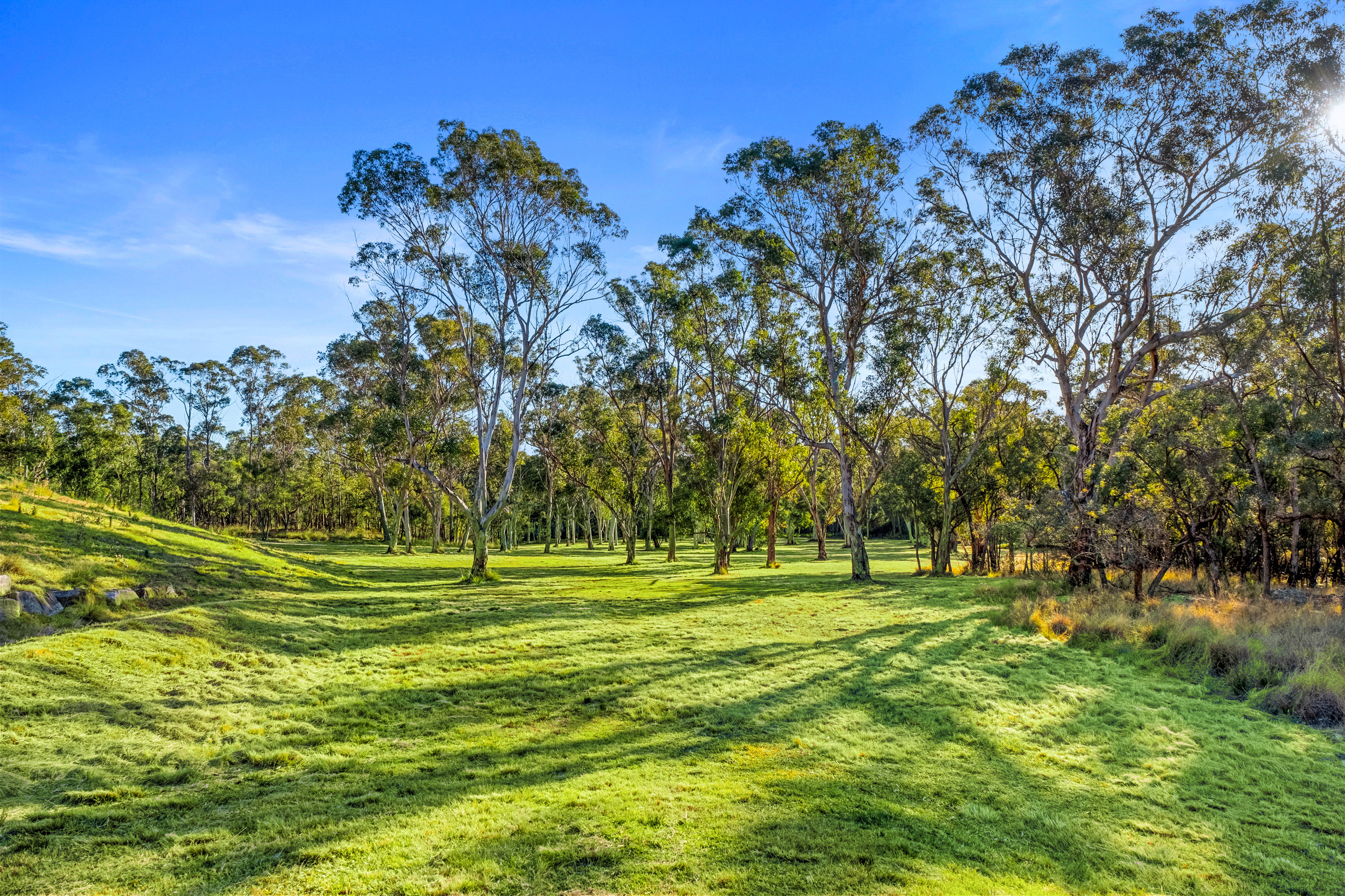 300a Maguires Road, Maraylya For Sale by Cutcliffe Properties - image 21
