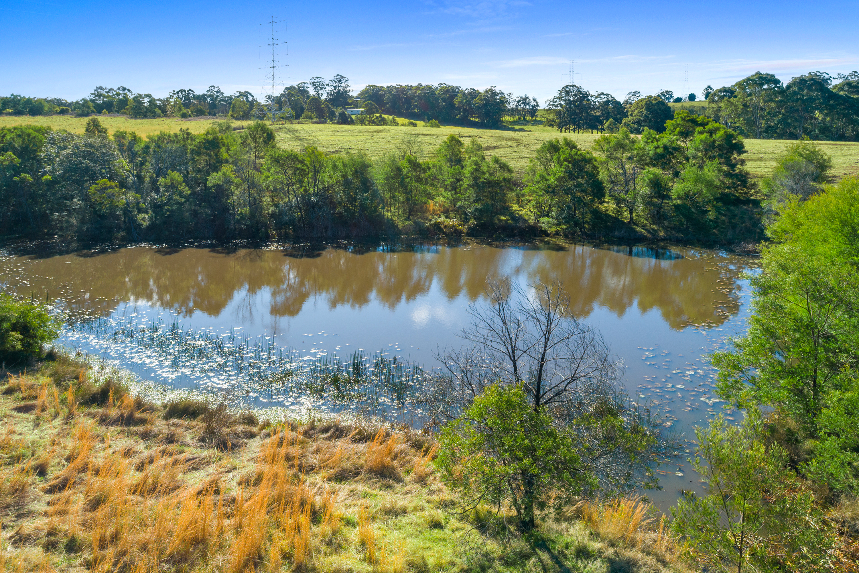 540 Comleroy Road, Kurrajong Auction by Cutcliffe Properties - image 6
