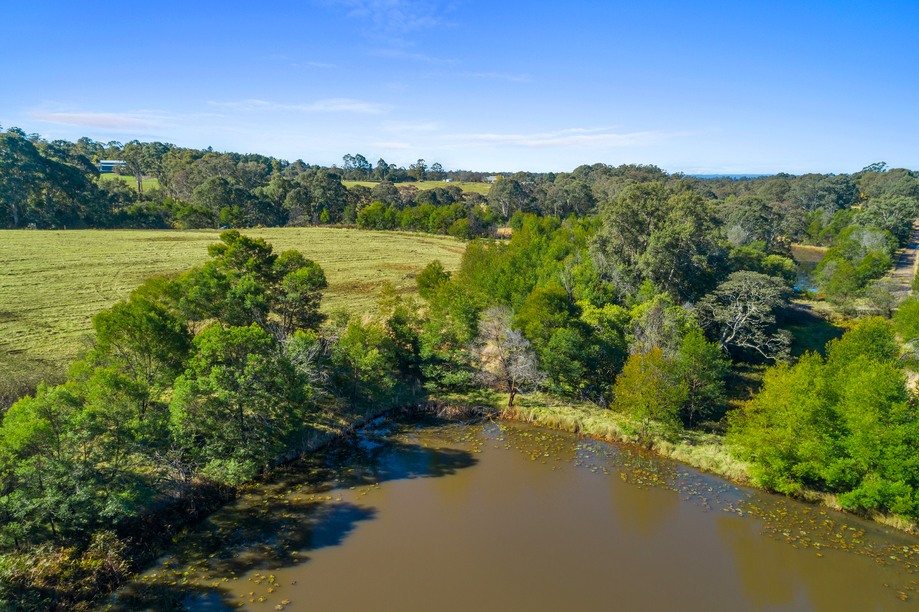 540 Comleroy Road, Kurrajong Auction by Cutcliffe Properties - image 9