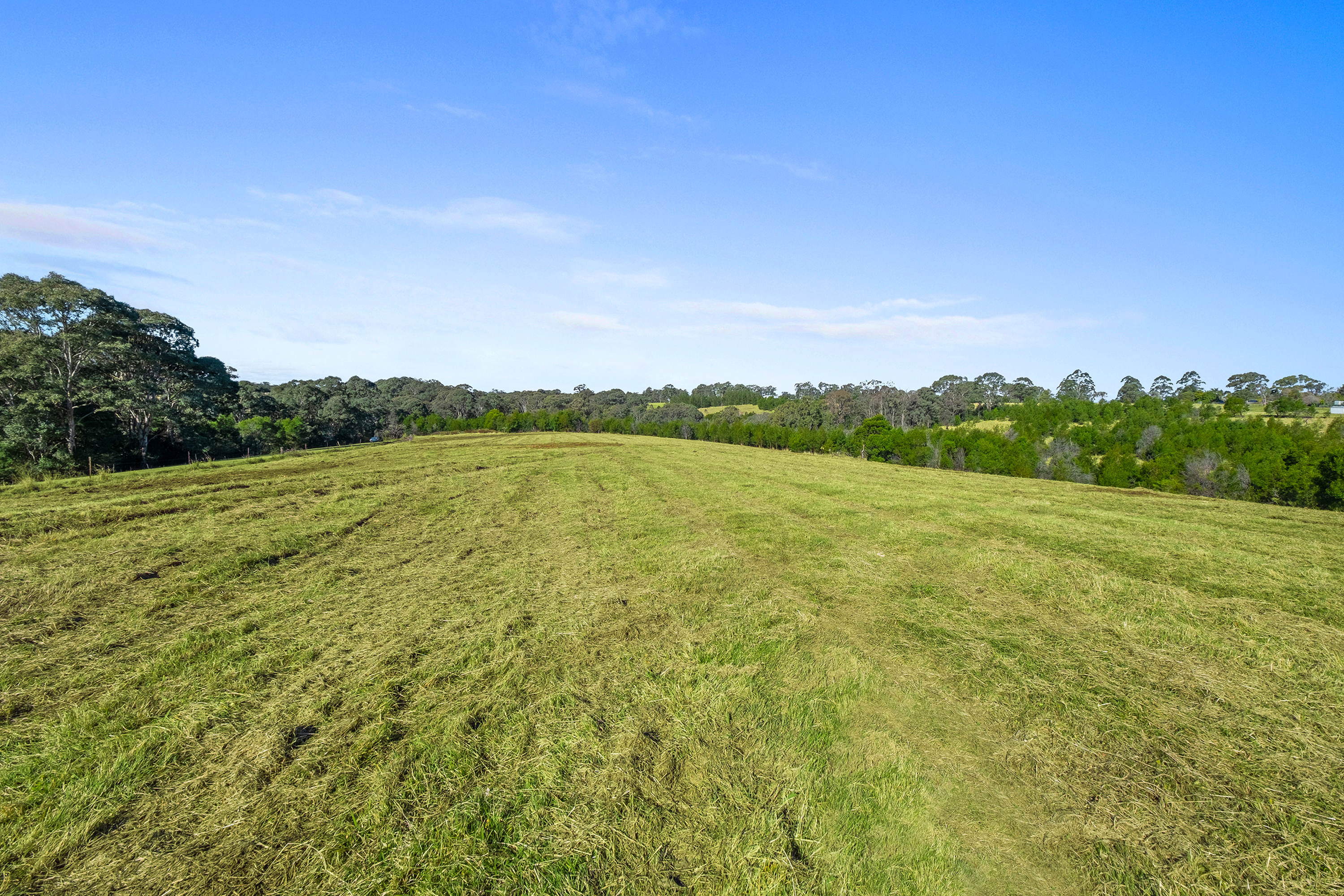 540 Comleroy Road, Kurrajong Auction by Cutcliffe Properties - image 4