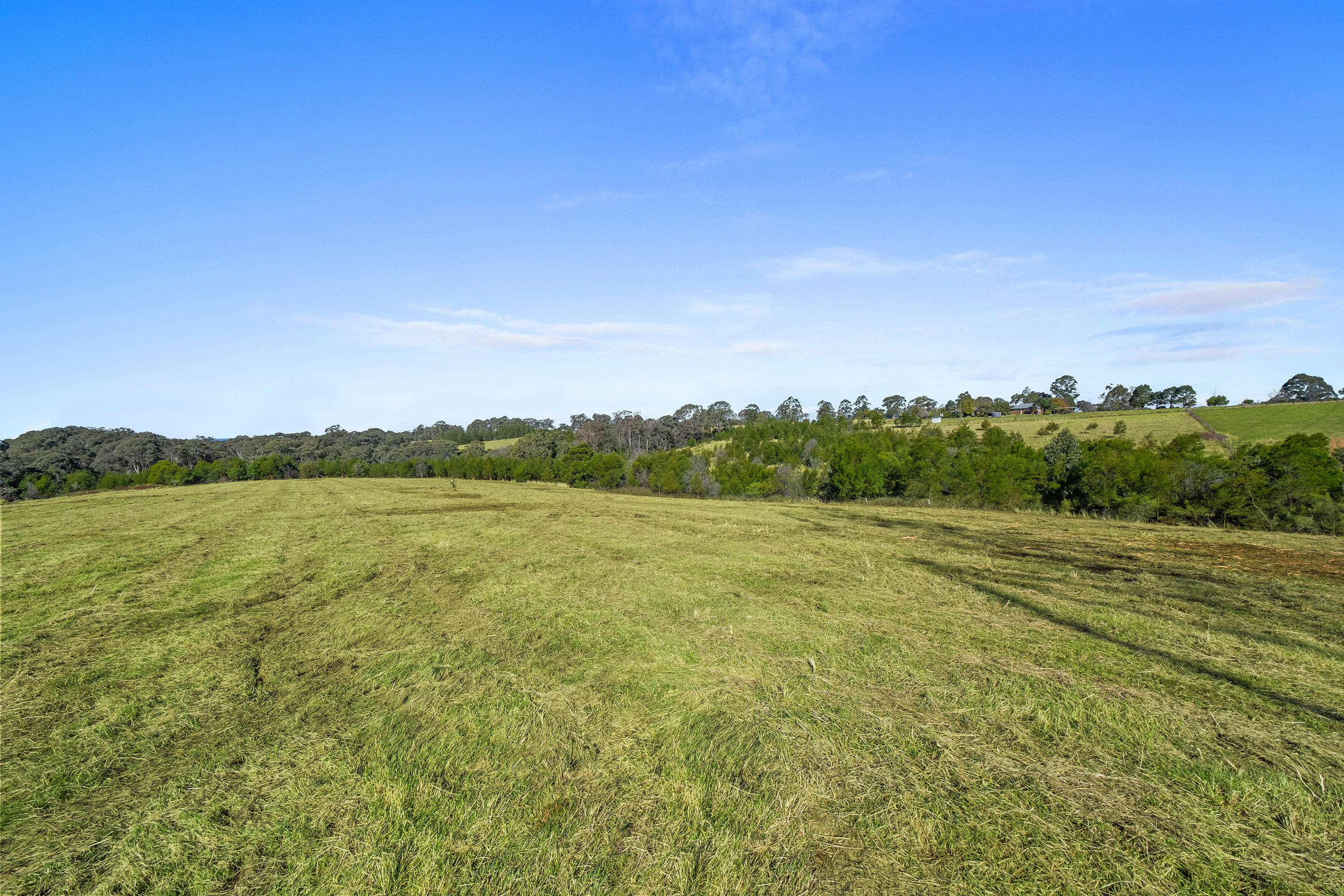 540 Comleroy Road, Kurrajong Auction by Cutcliffe Properties - image 5