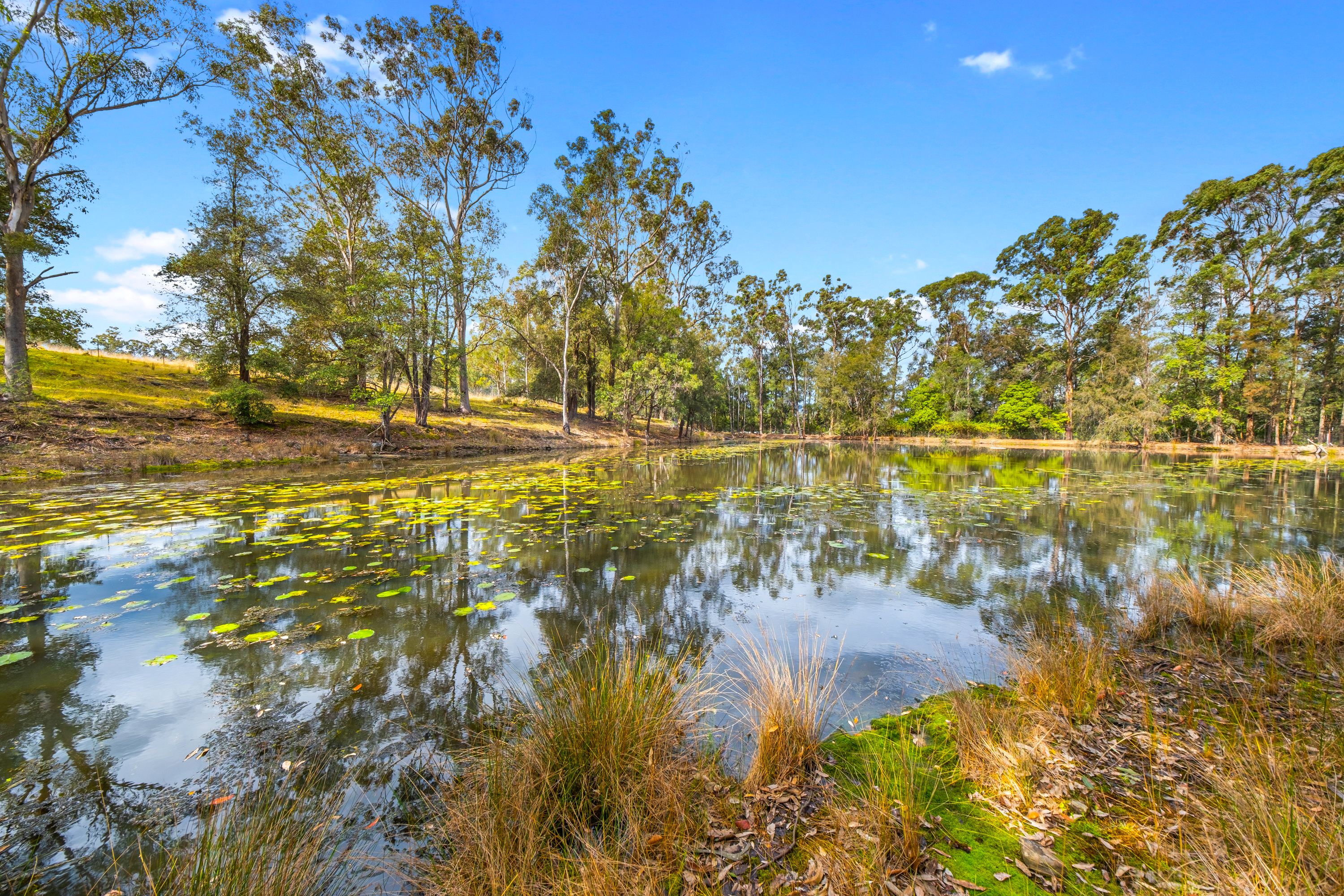 708 East Kurrajong Road, East Kurrajong For Sale by Cutcliffe Properties - image 18