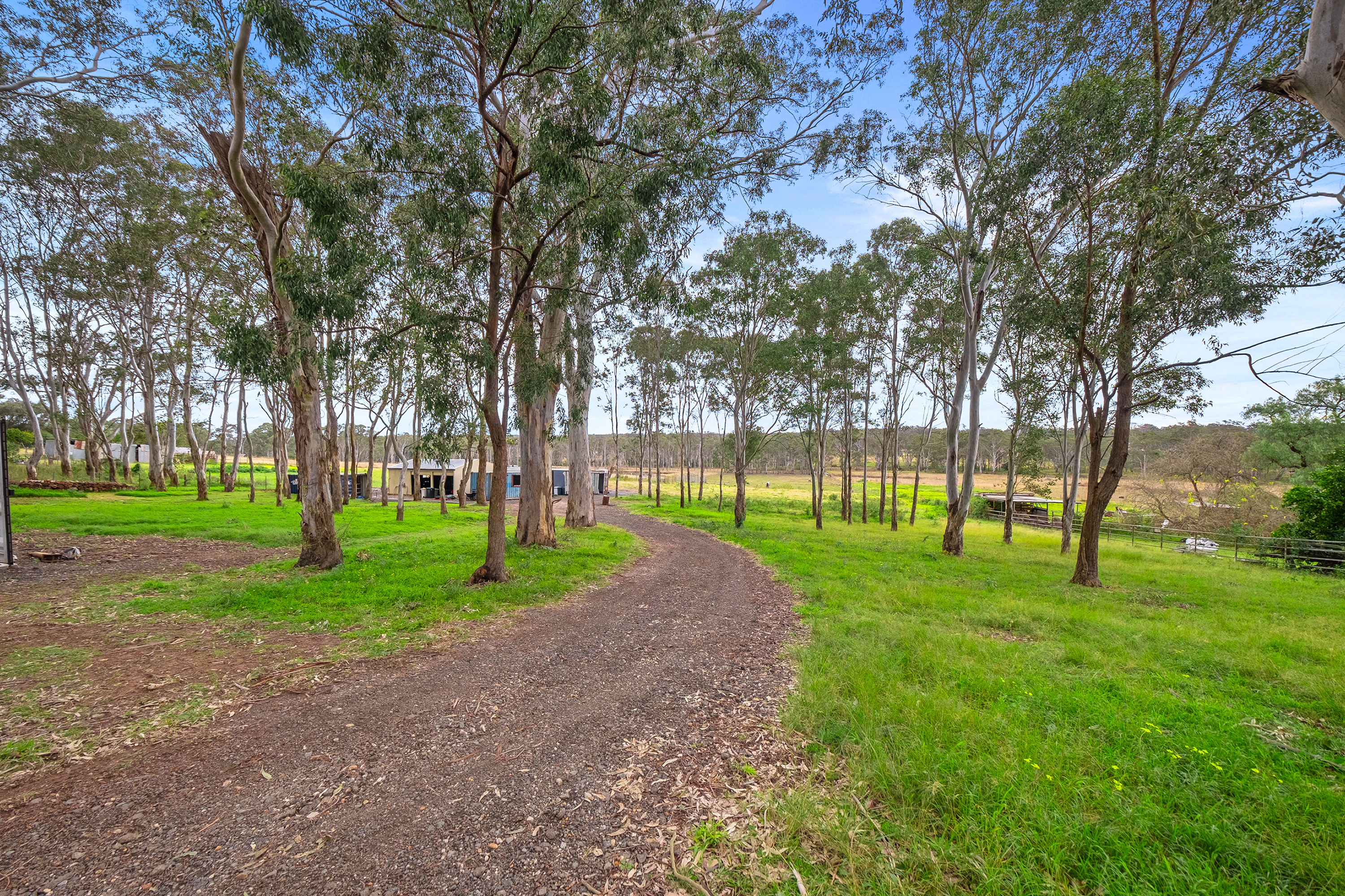 88 Commercial Road, Vineyard Sold by Cutcliffe Properties - image 12
