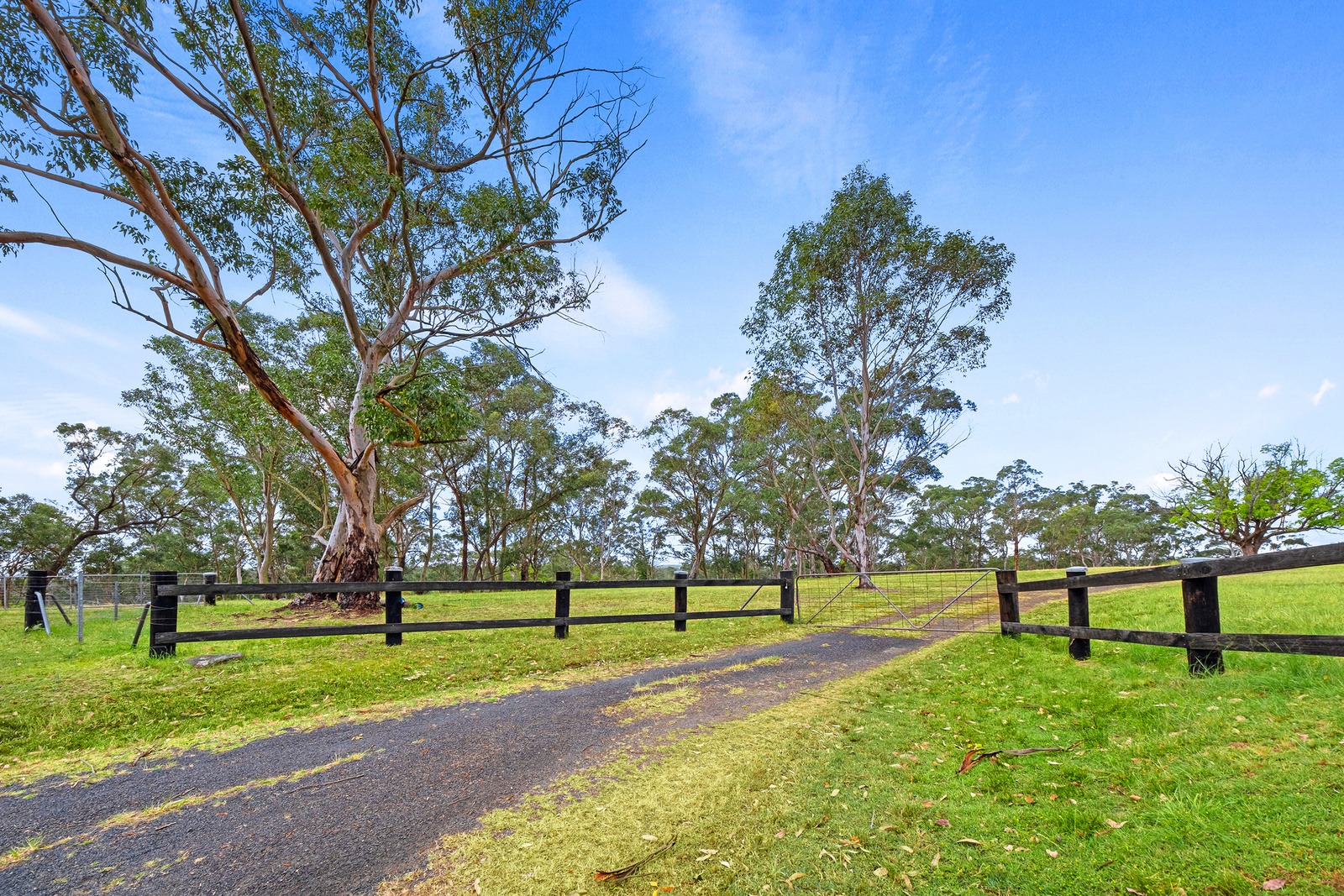 339 Maguires Road, Maraylya For Sale by Cutcliffe Properties - image 4