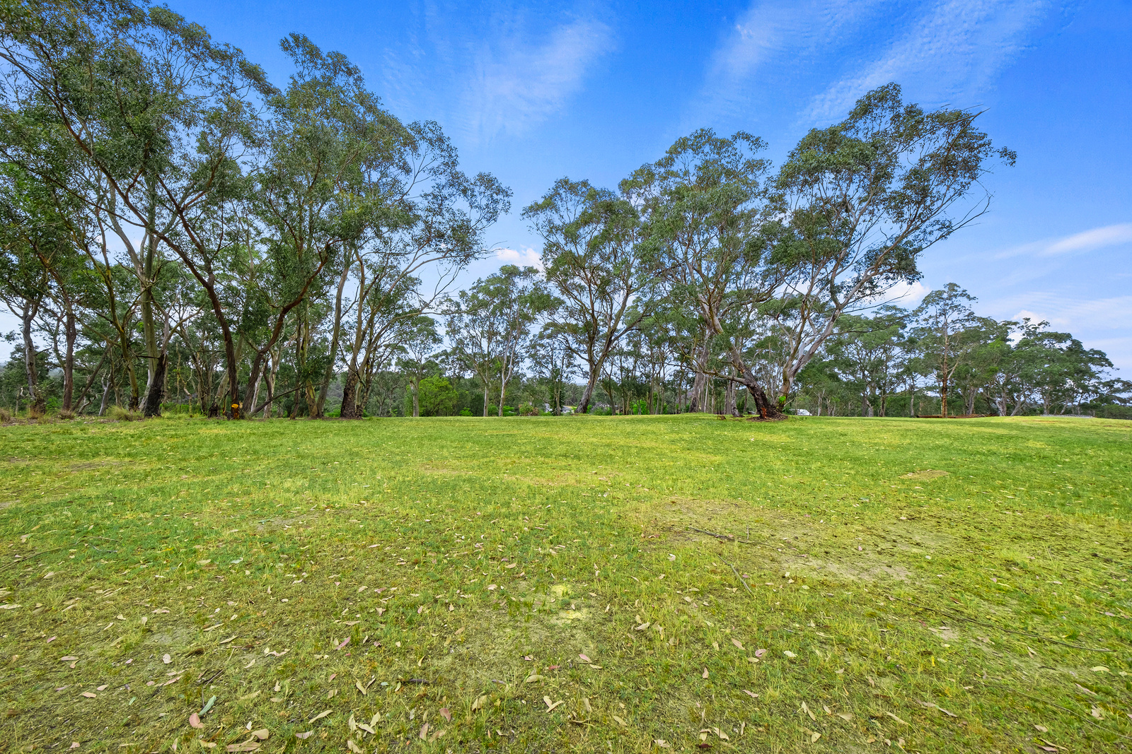 339 Maguires Road, Maraylya For Sale by Cutcliffe Properties - image 10
