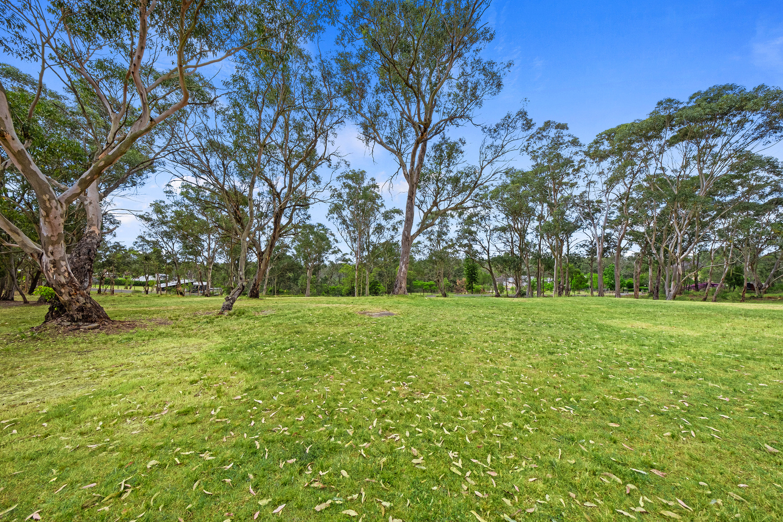 339 Maguires Road, Maraylya For Sale by Cutcliffe Properties - image 11