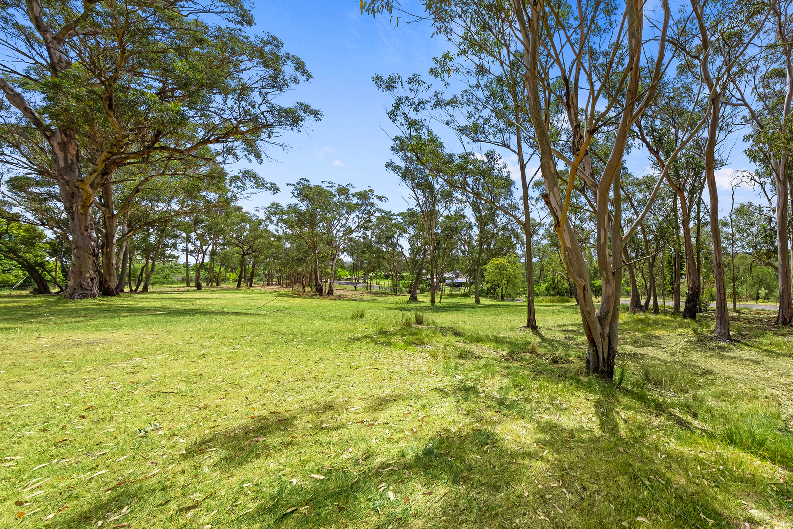 339 Maguires Road, Maraylya For Sale by Cutcliffe Properties - image 14