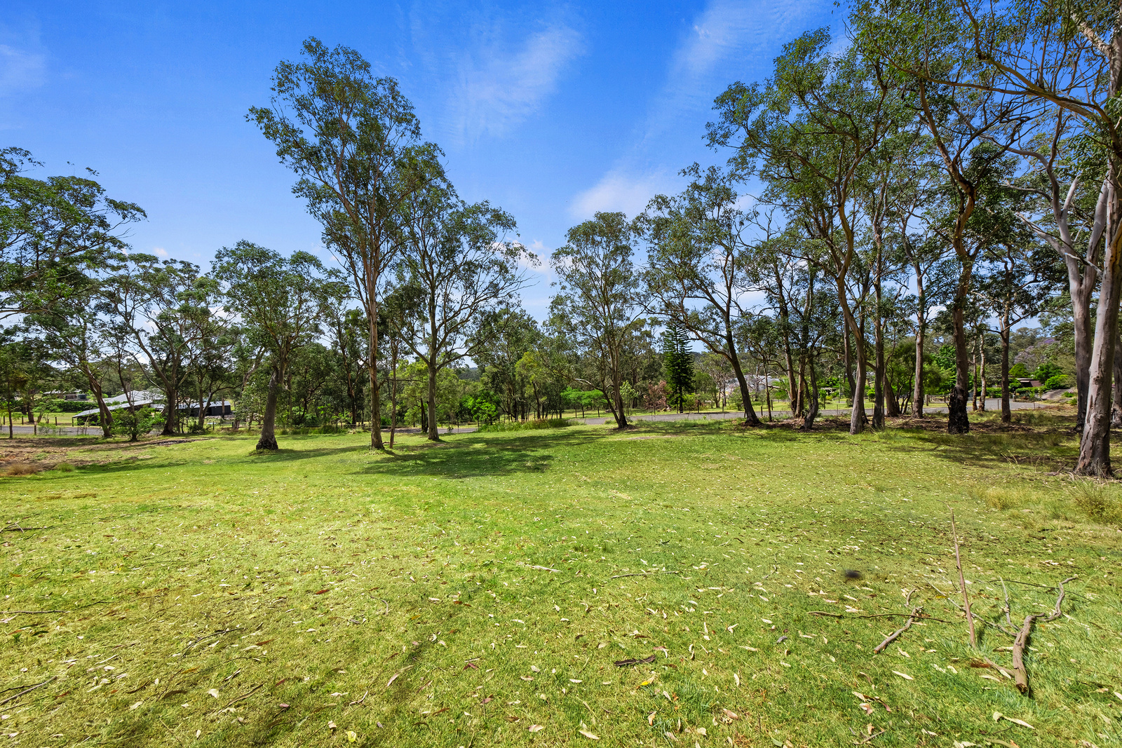 339 Maguires Road, Maraylya For Sale by Cutcliffe Properties - image 15