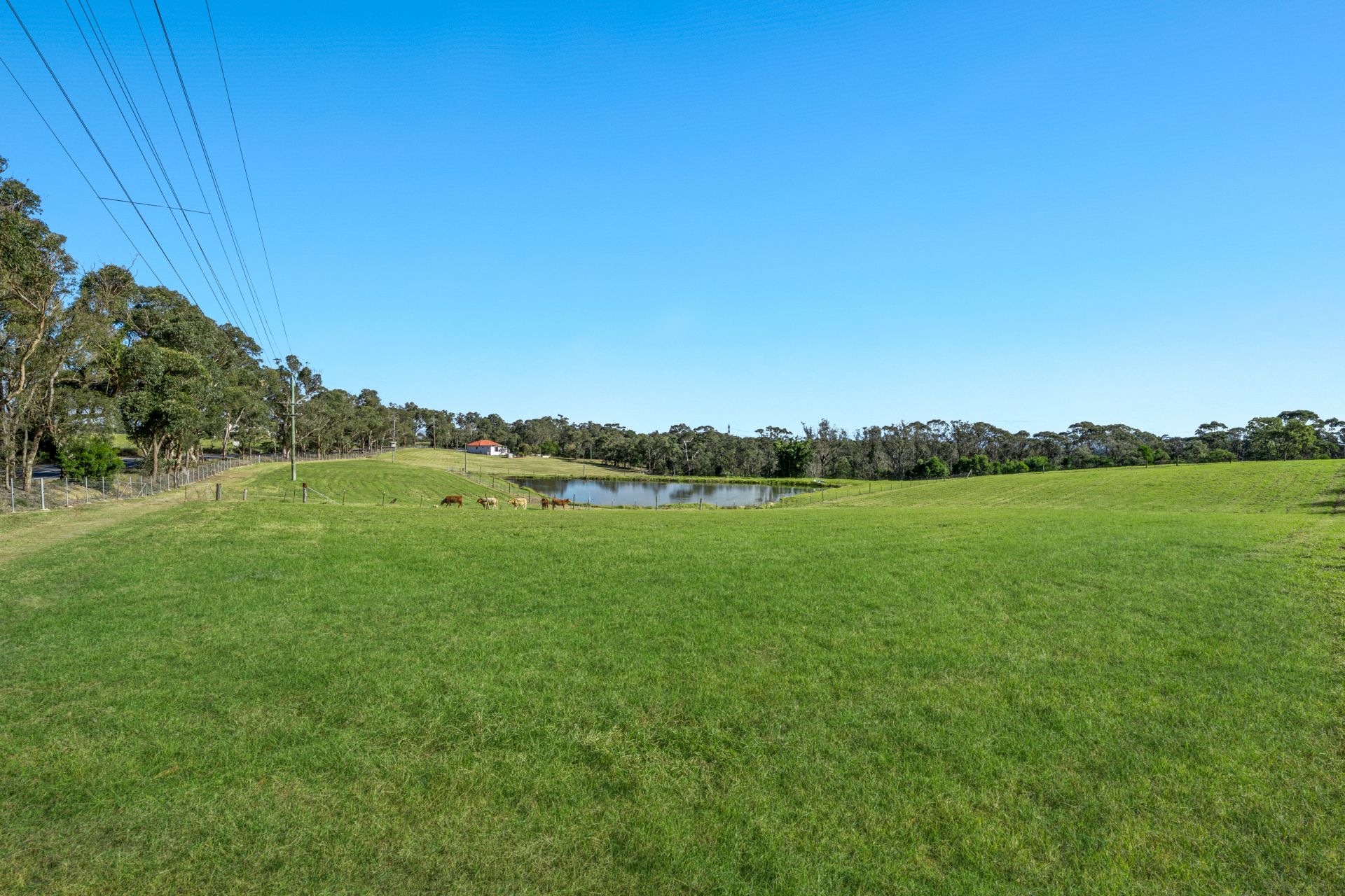 780 Wisemans Ferry Road, South Maroota For Sale by Cutcliffe Properties - image 11