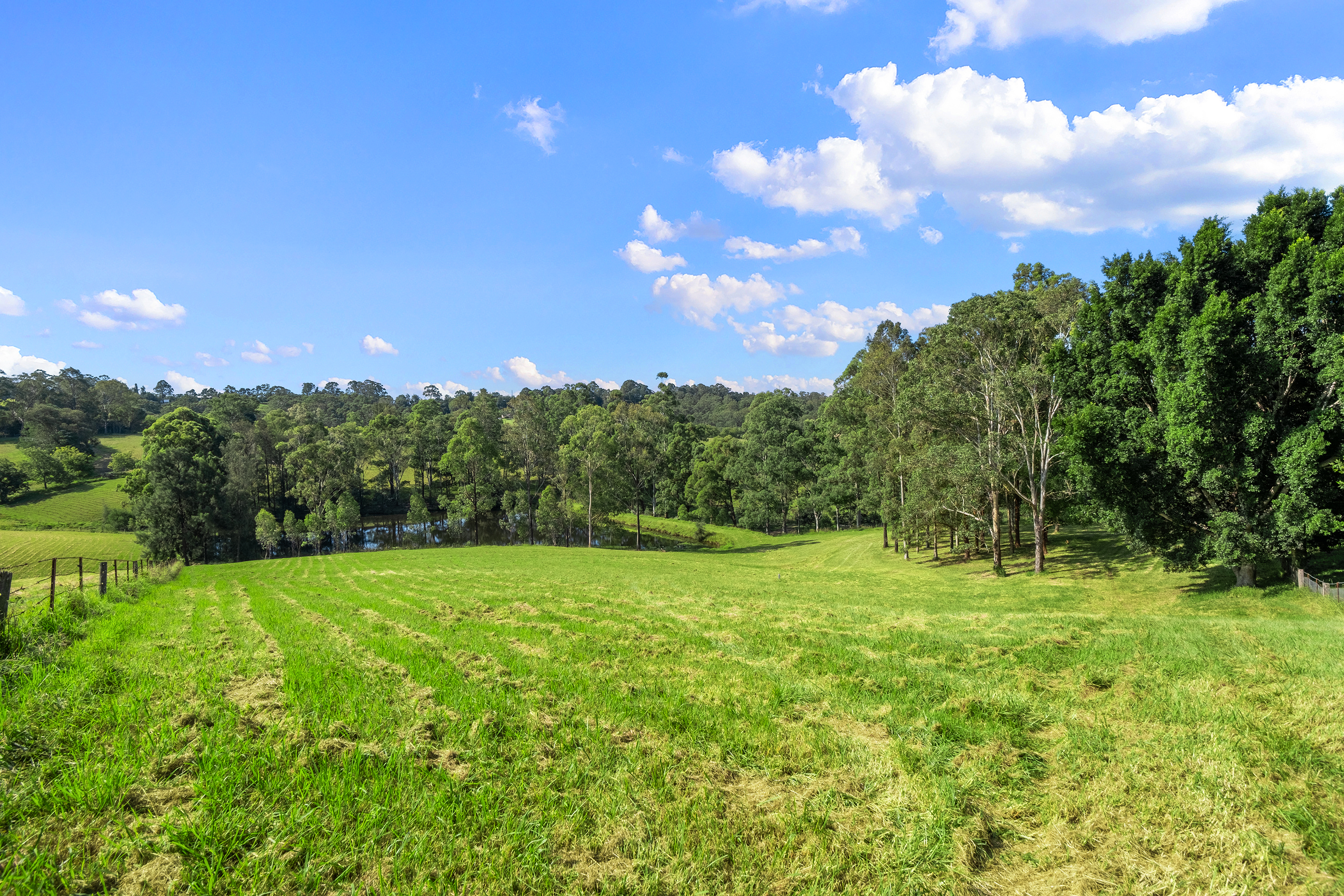 53A Vincents Road, Kurrajong Sold by Cutcliffe Properties - image 3