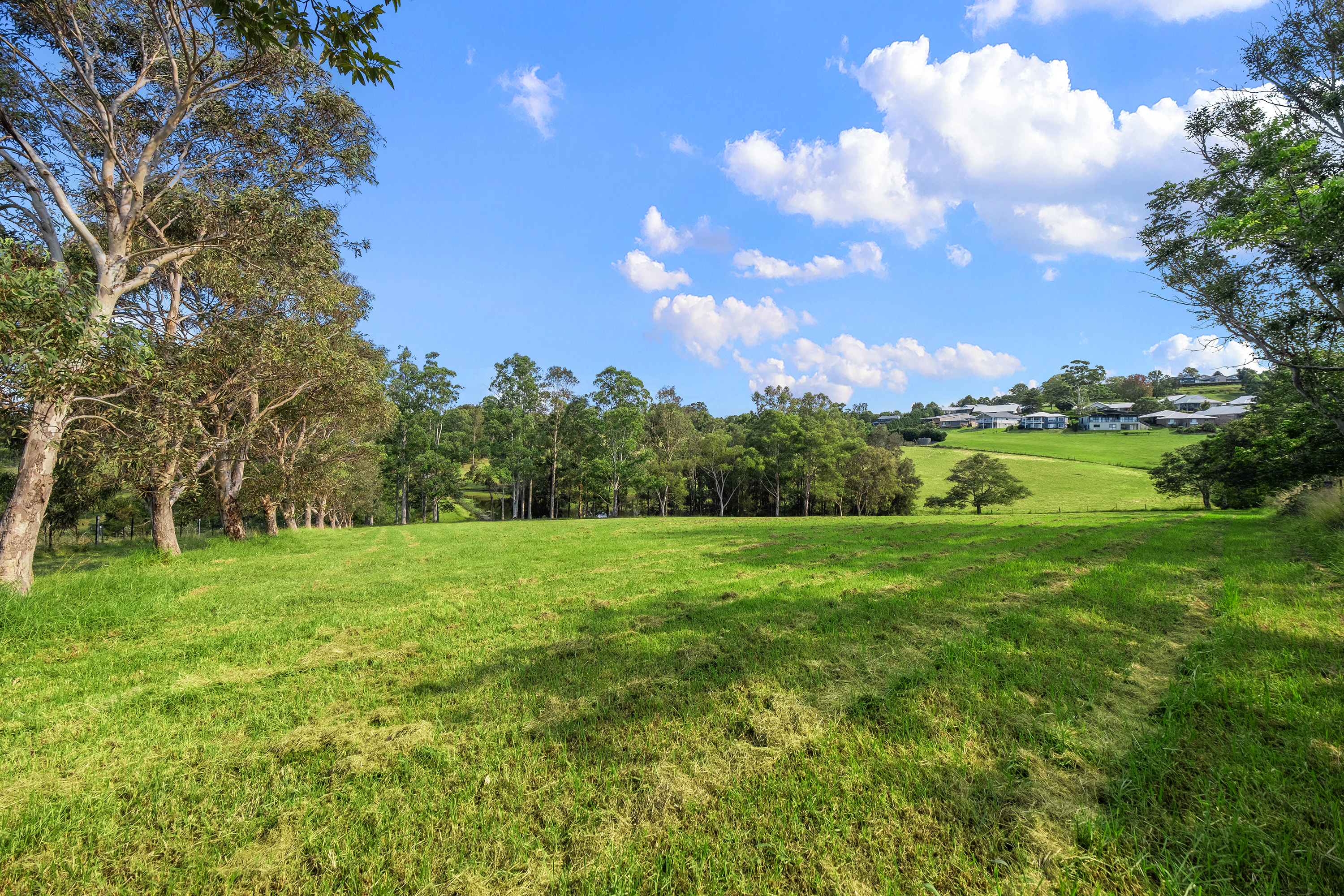 53A Vincents Road, Kurrajong Sold by Cutcliffe Properties - image 4