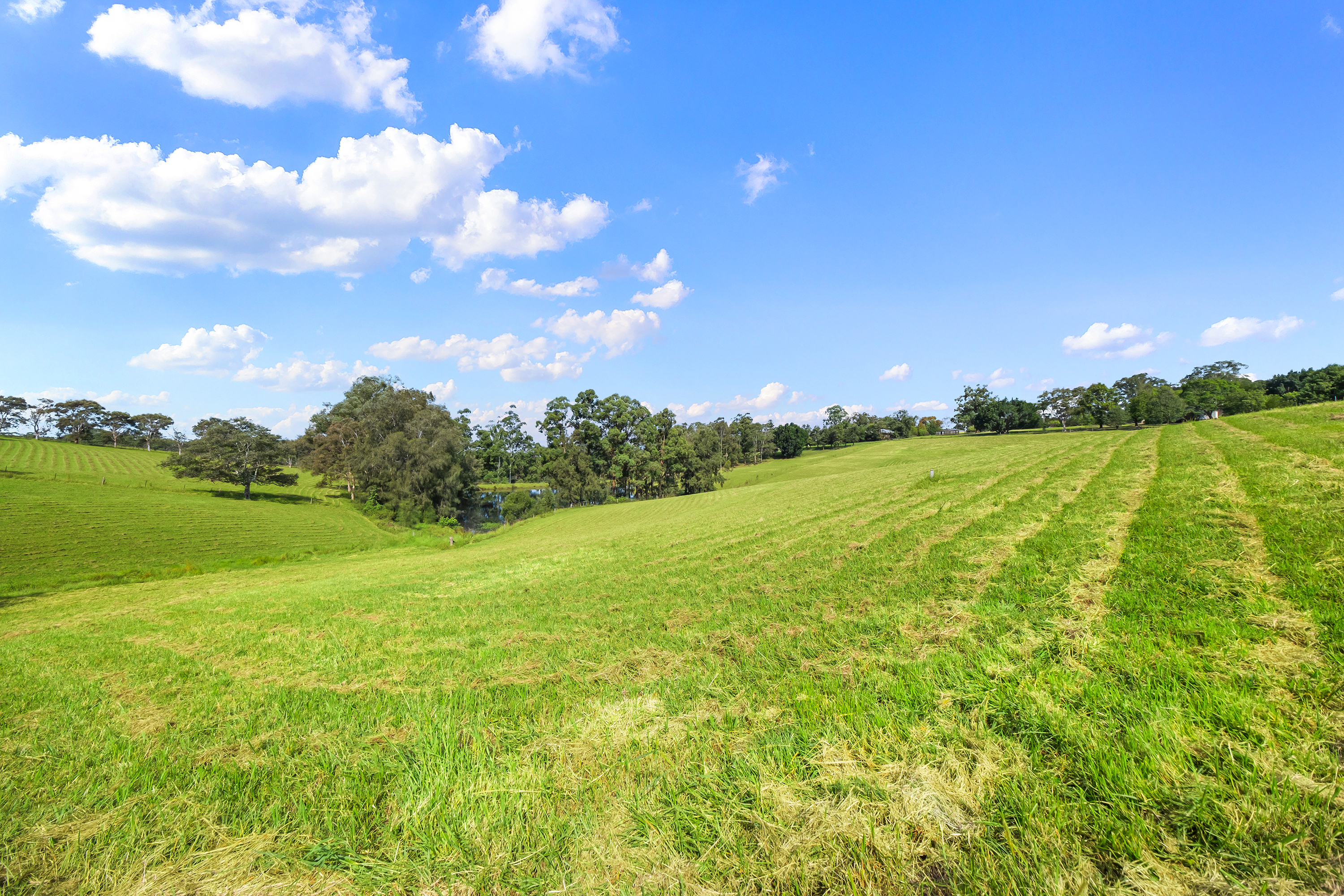53A Vincents Road, Kurrajong Sold by Cutcliffe Properties - image 5