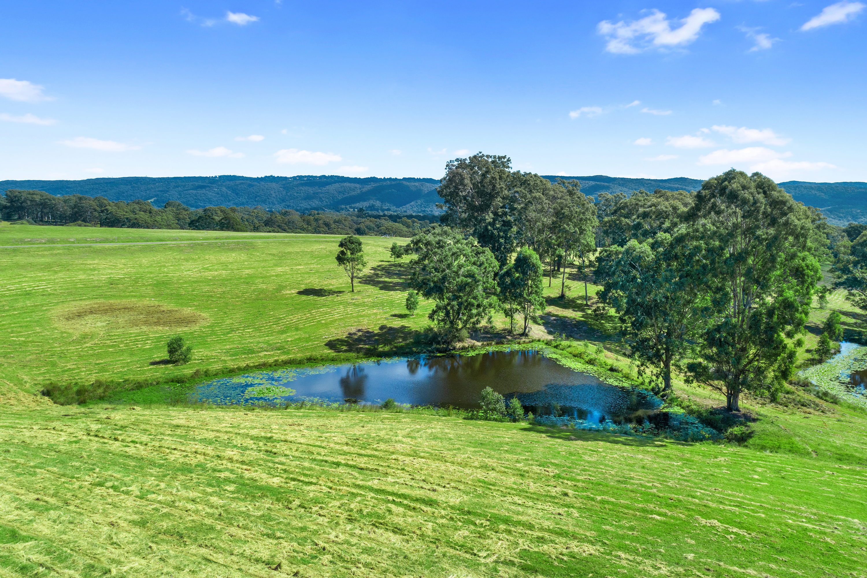 Lot 6, 463 Comleroy Road (481 Comleroy Road), Kurrajong Sold by Cutcliffe Properties - image 10
