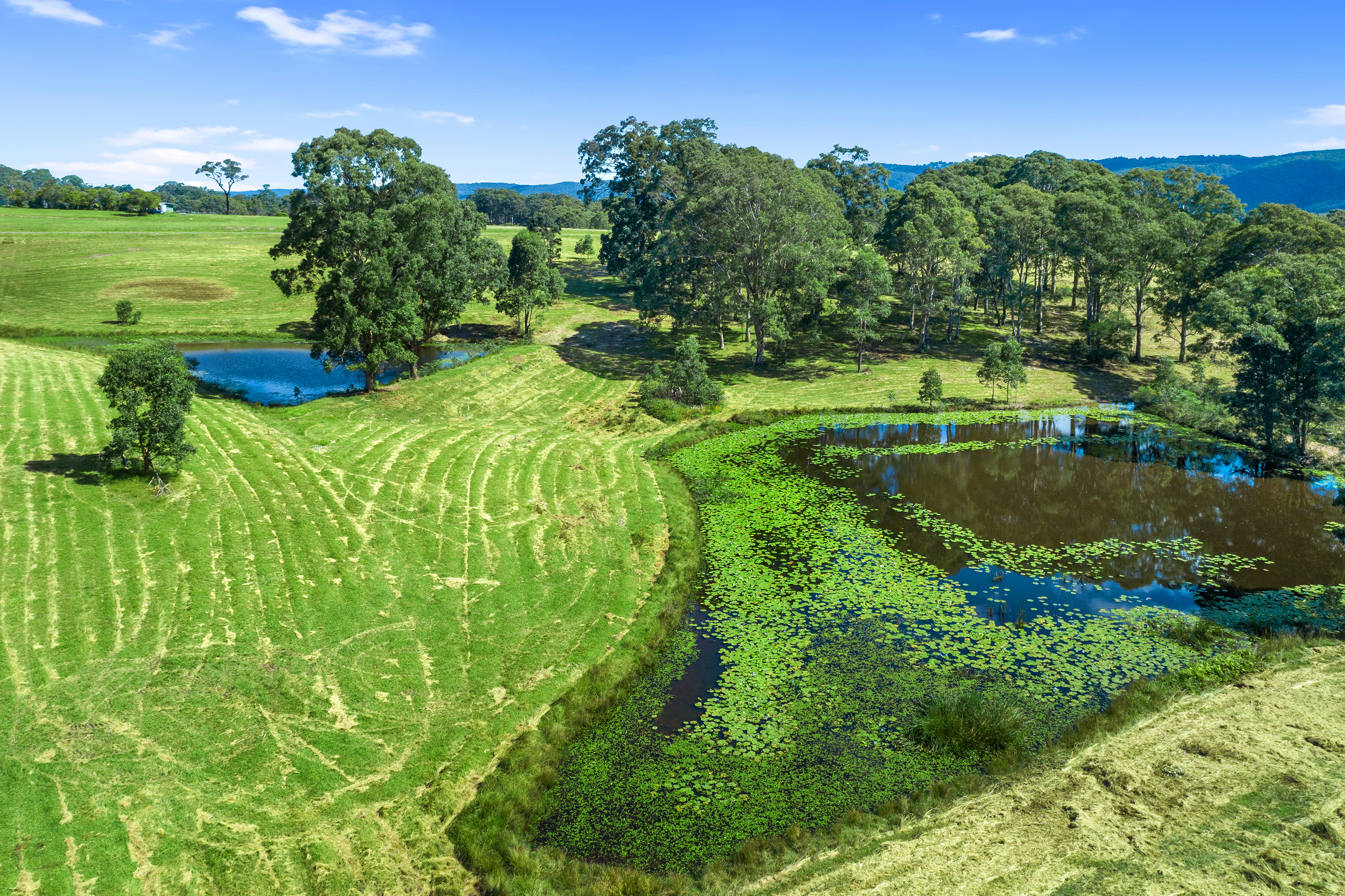 Lot 6, 463 Comleroy Road (481 Comleroy Road), Kurrajong Sold by Cutcliffe Properties - image 11