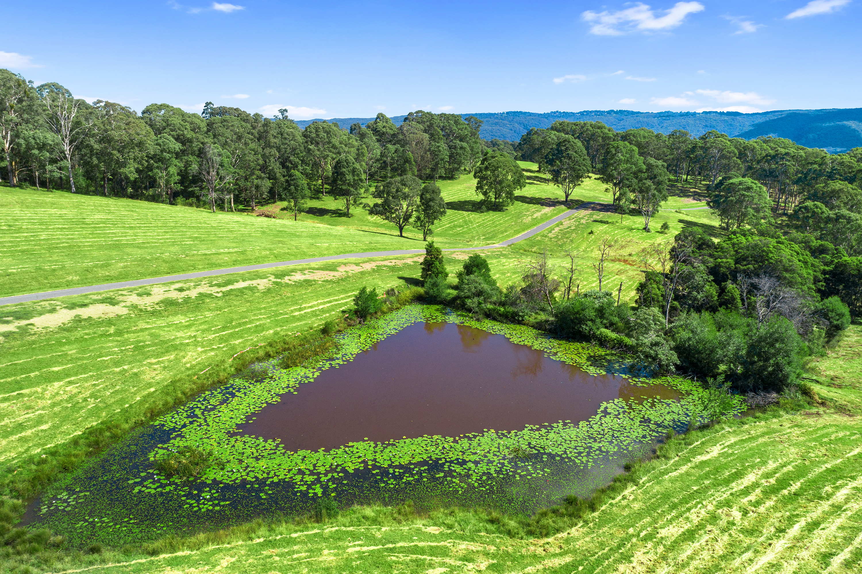 Lot 6, 463 Comleroy Road (481 Comleroy Road), Kurrajong Sold by Cutcliffe Properties - image 8