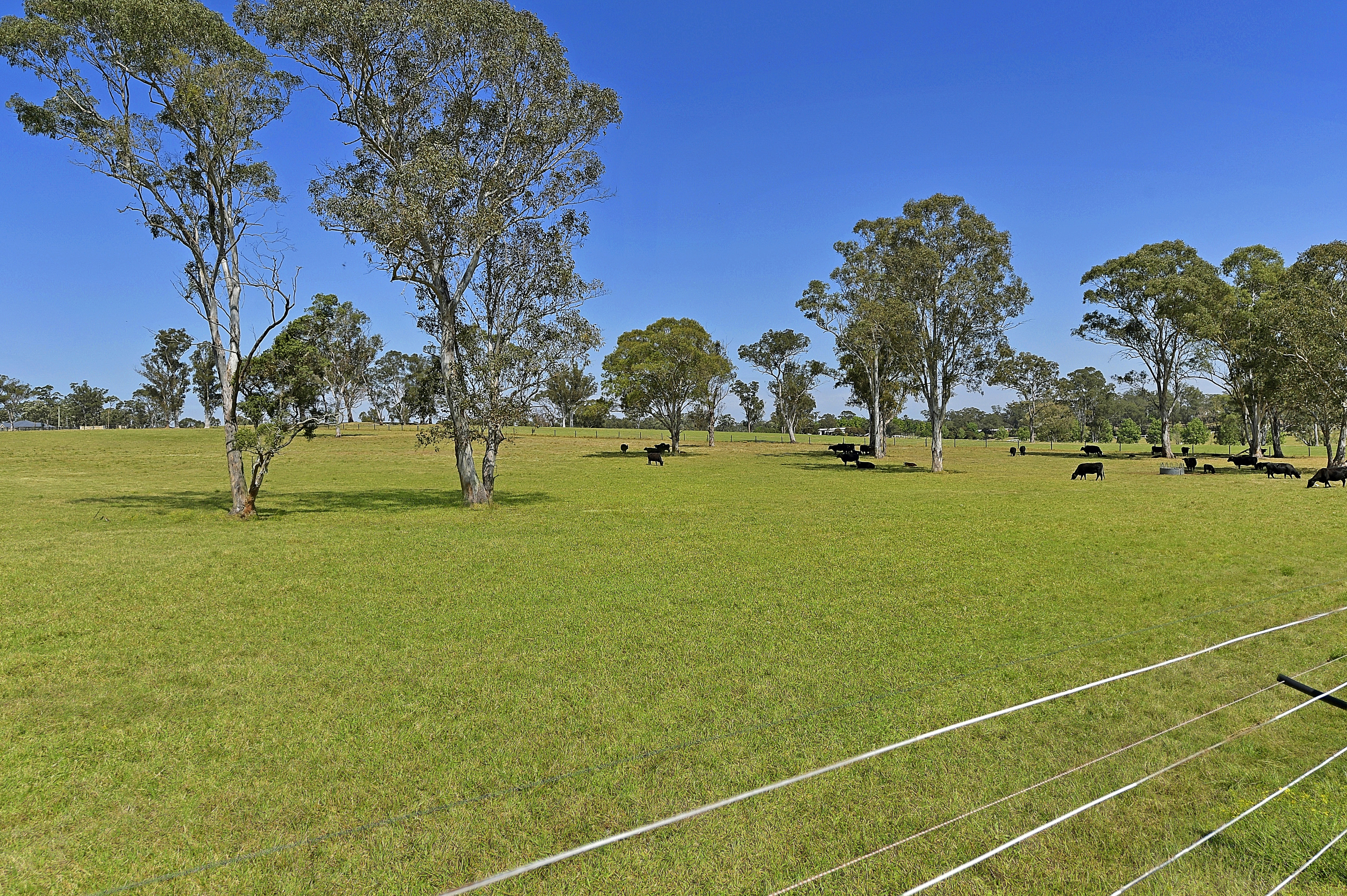 Proposed Lot 1, 35 Hadden Ridge Road, Wilberforce Sold by Cutcliffe Properties - image 10