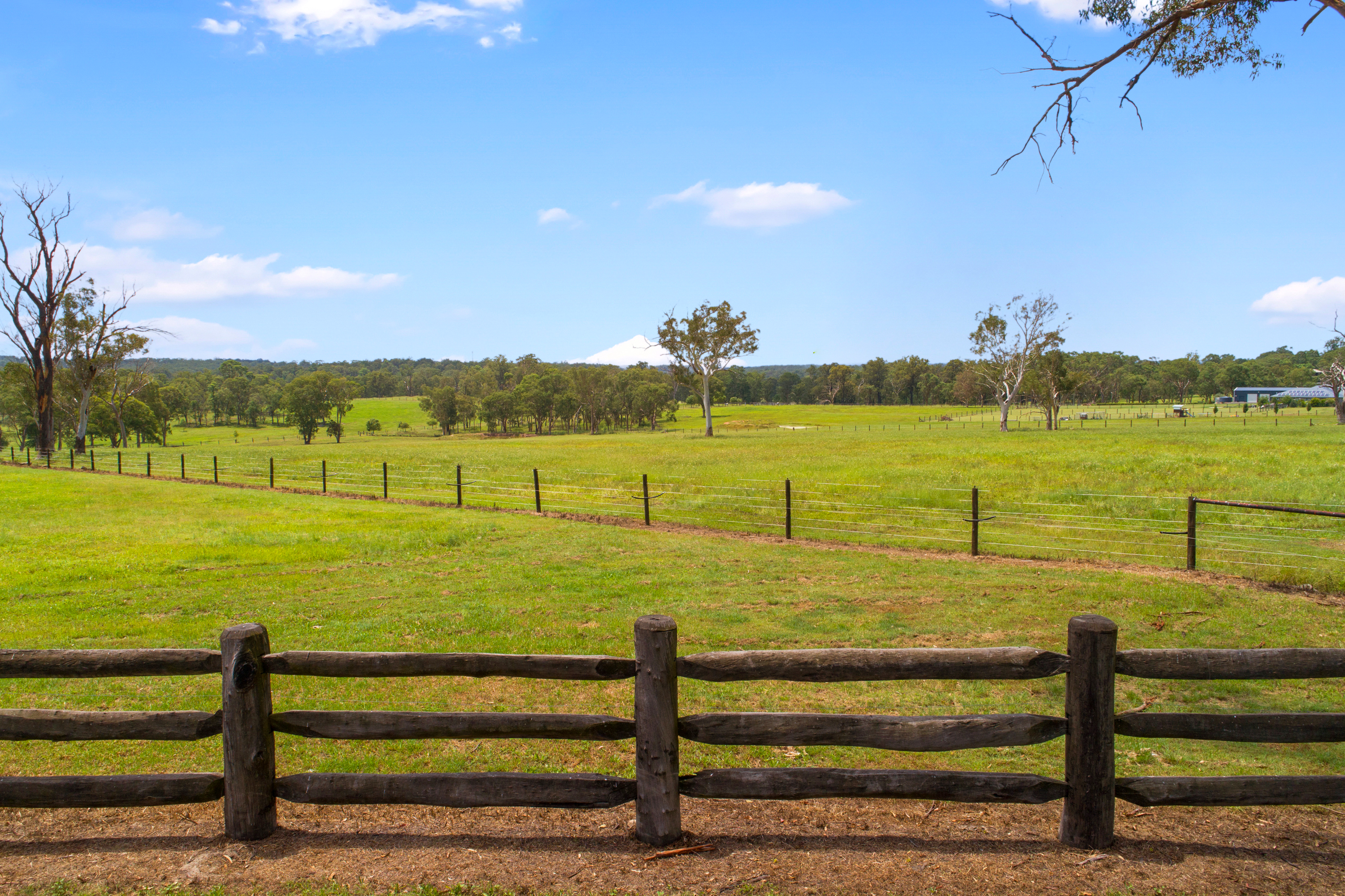 Proposed Lot 1, 35 Hadden Ridge Road, Wilberforce Sold by Cutcliffe Properties - image 11