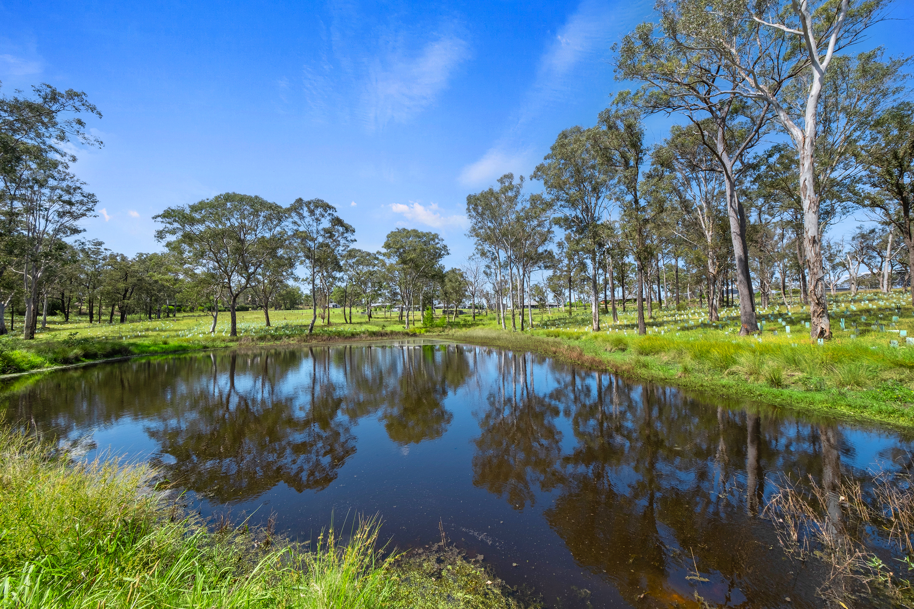 Proposed Lot 1, 35 Hadden Ridge Road, Wilberforce Sold by Cutcliffe Properties - image 13