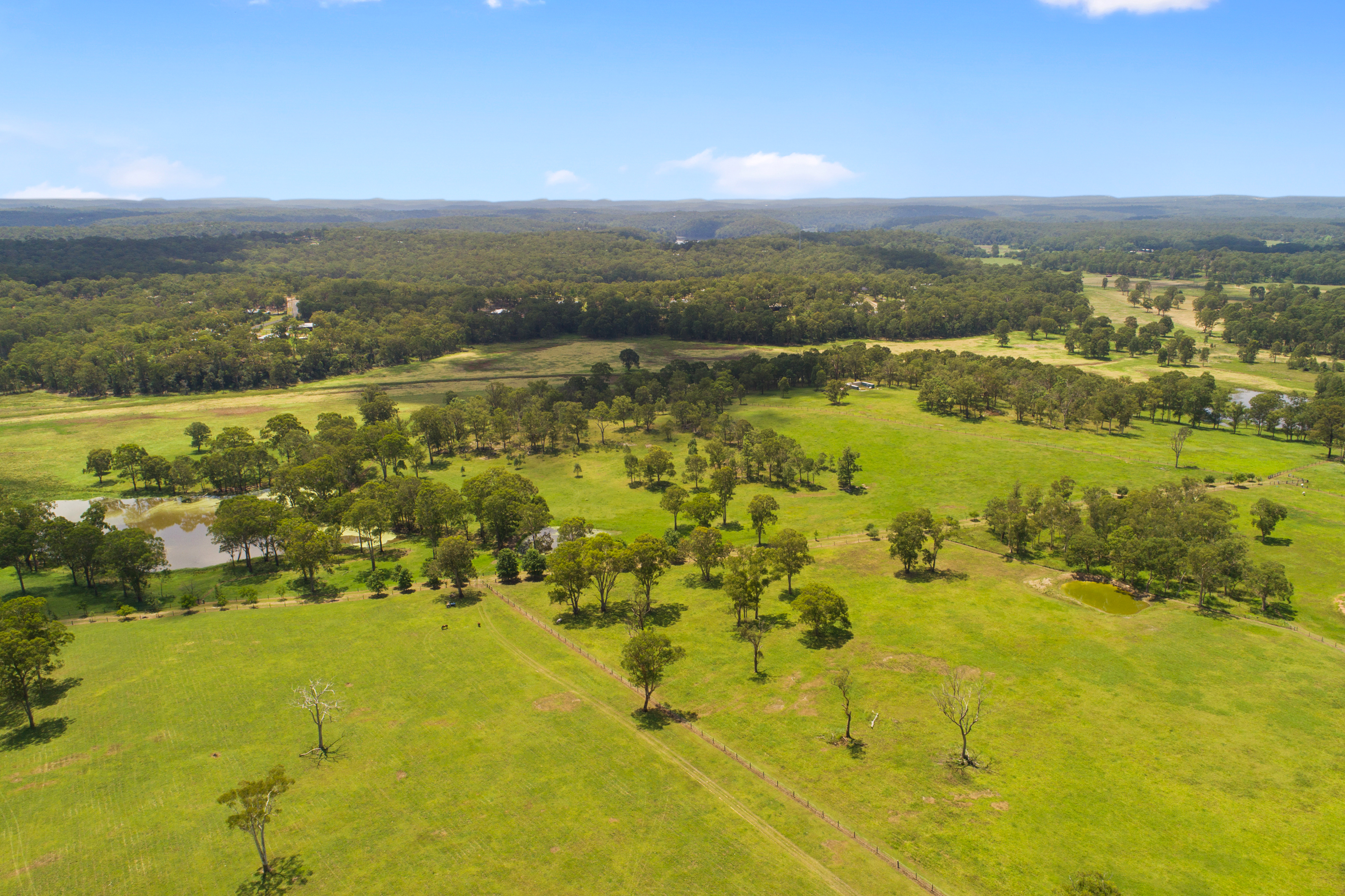 Proposed Lot 1, 35 Hadden Ridge Road, Wilberforce Sold by Cutcliffe Properties - image 14