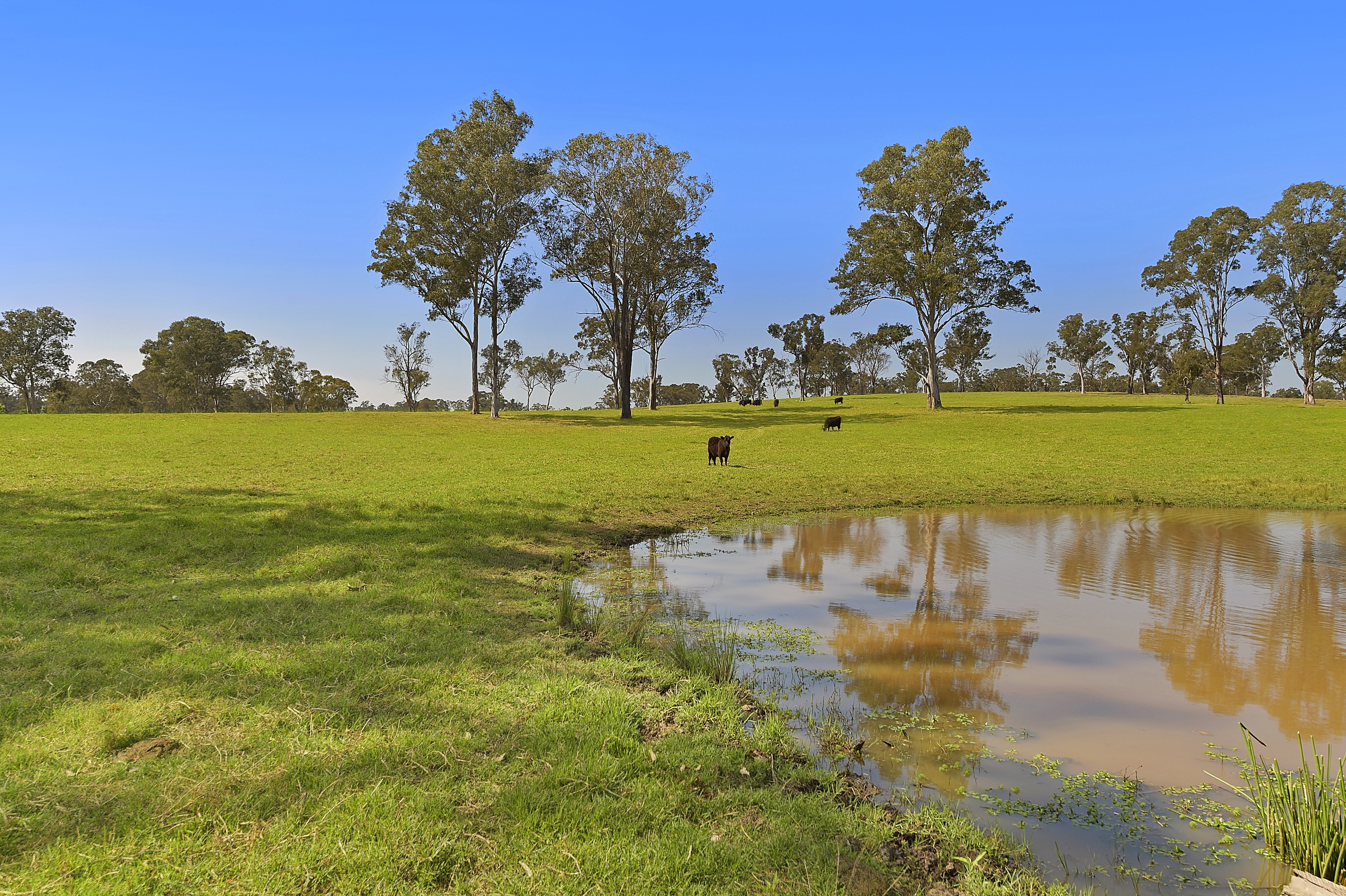 Proposed Lot 1, 35 Hadden Ridge Road, Wilberforce Sold by Cutcliffe Properties - image 15