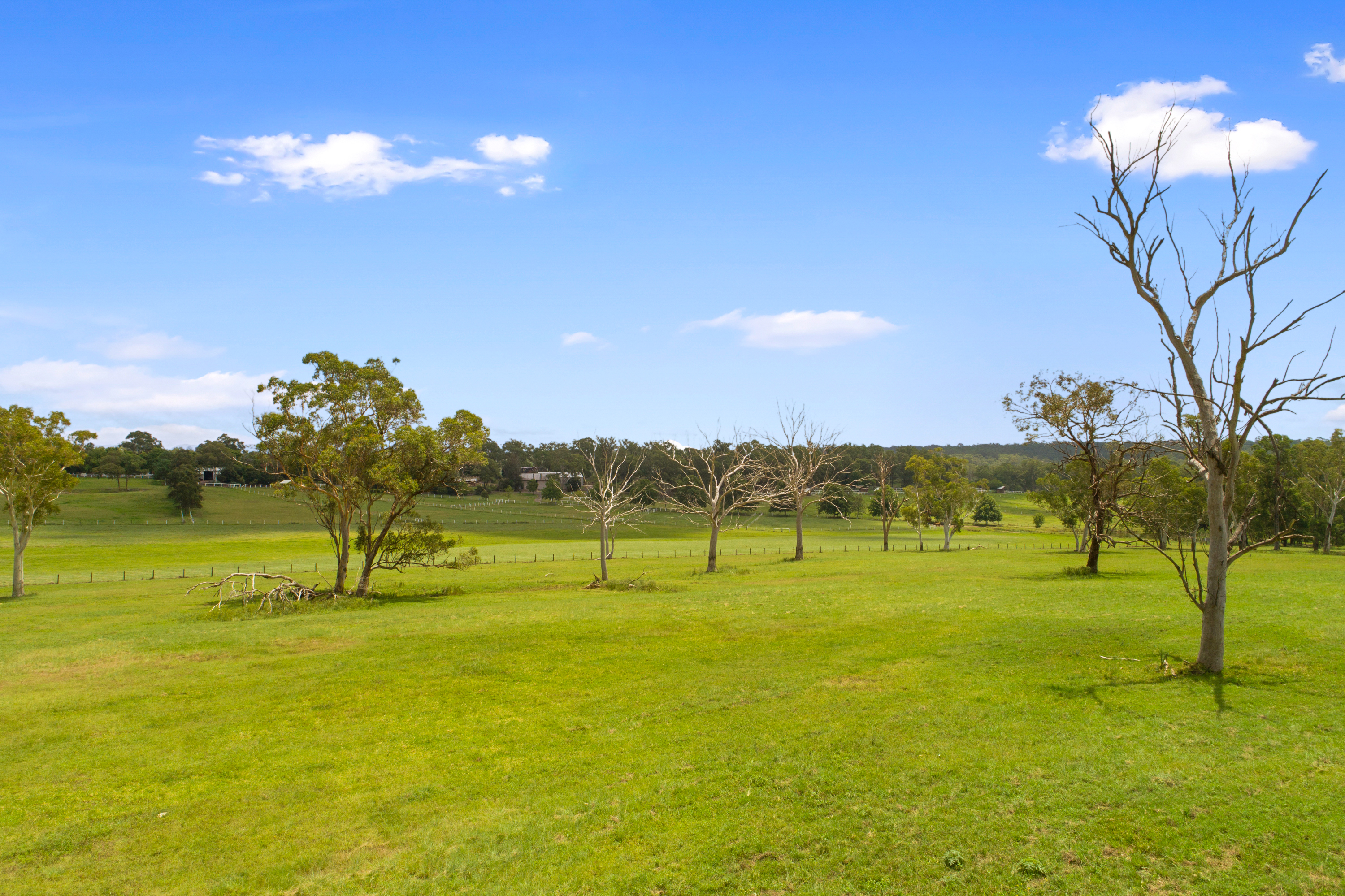 Proposed Lot 1, 35 Hadden Ridge Road, Wilberforce Sold by Cutcliffe Properties - image 16