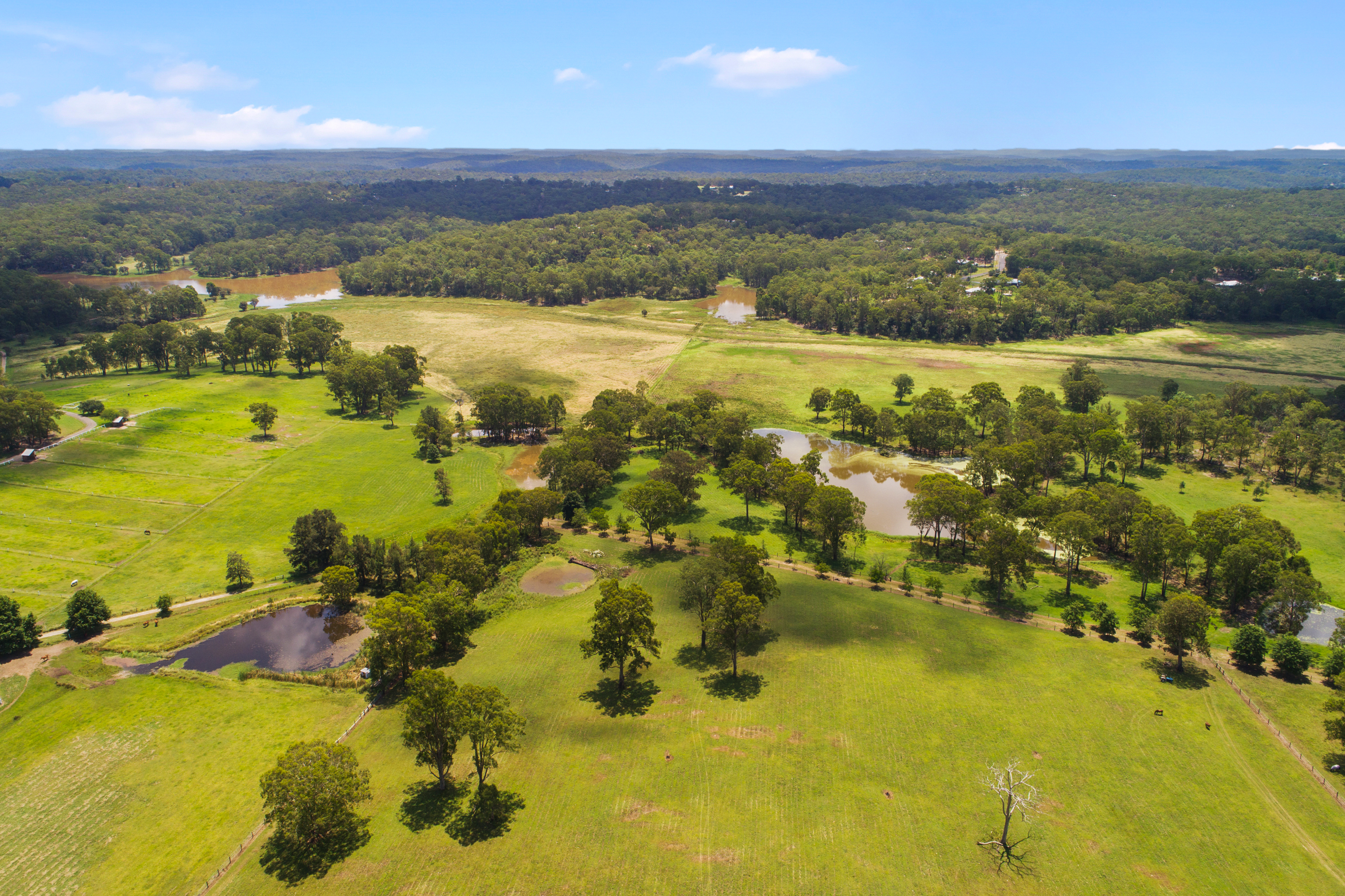 Proposed Lot 1, 35 Hadden Ridge Road, Wilberforce Sold by Cutcliffe Properties - image 17