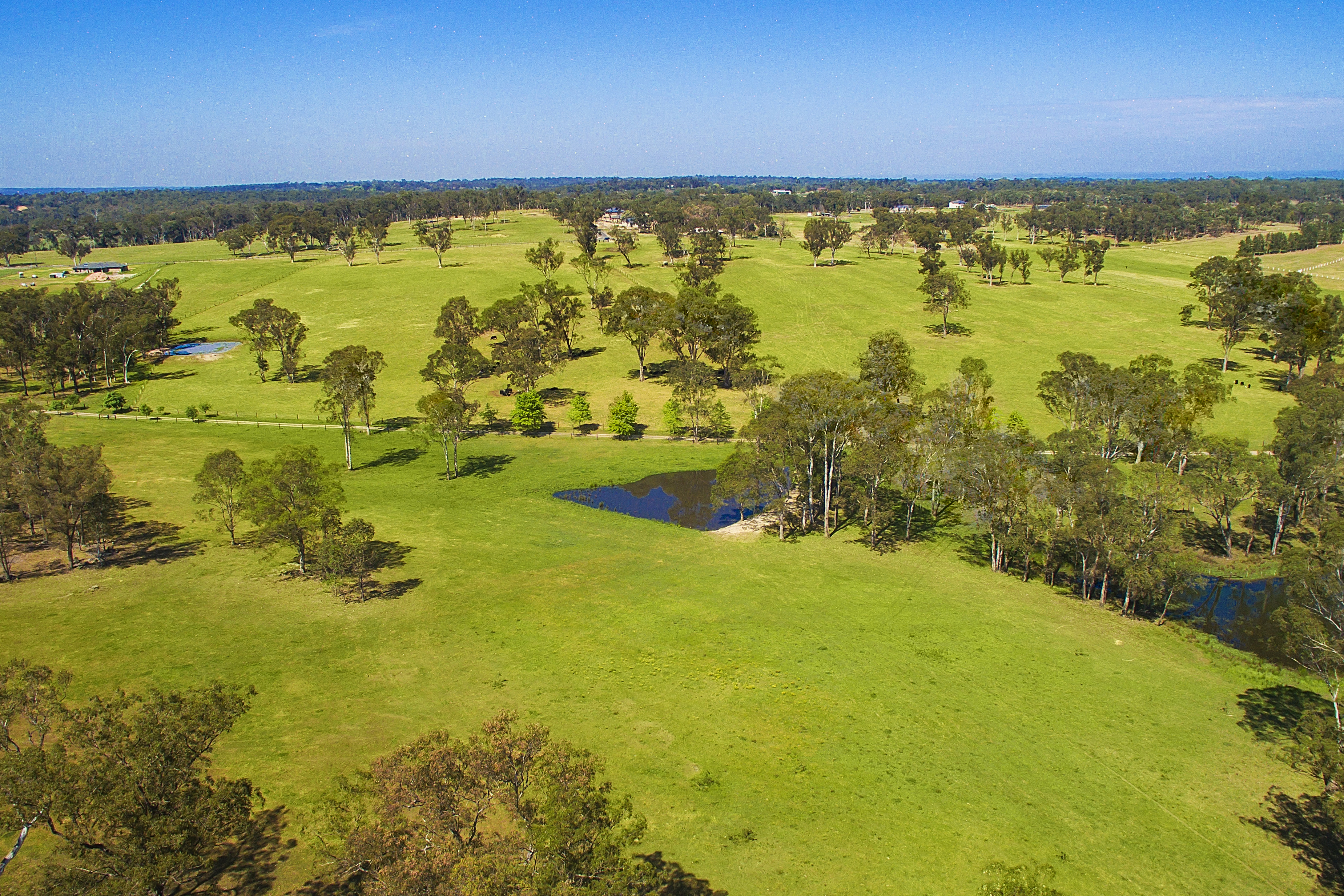 Proposed Lot 1, 35 Hadden Ridge Road, Wilberforce Sold by Cutcliffe Properties - image 22