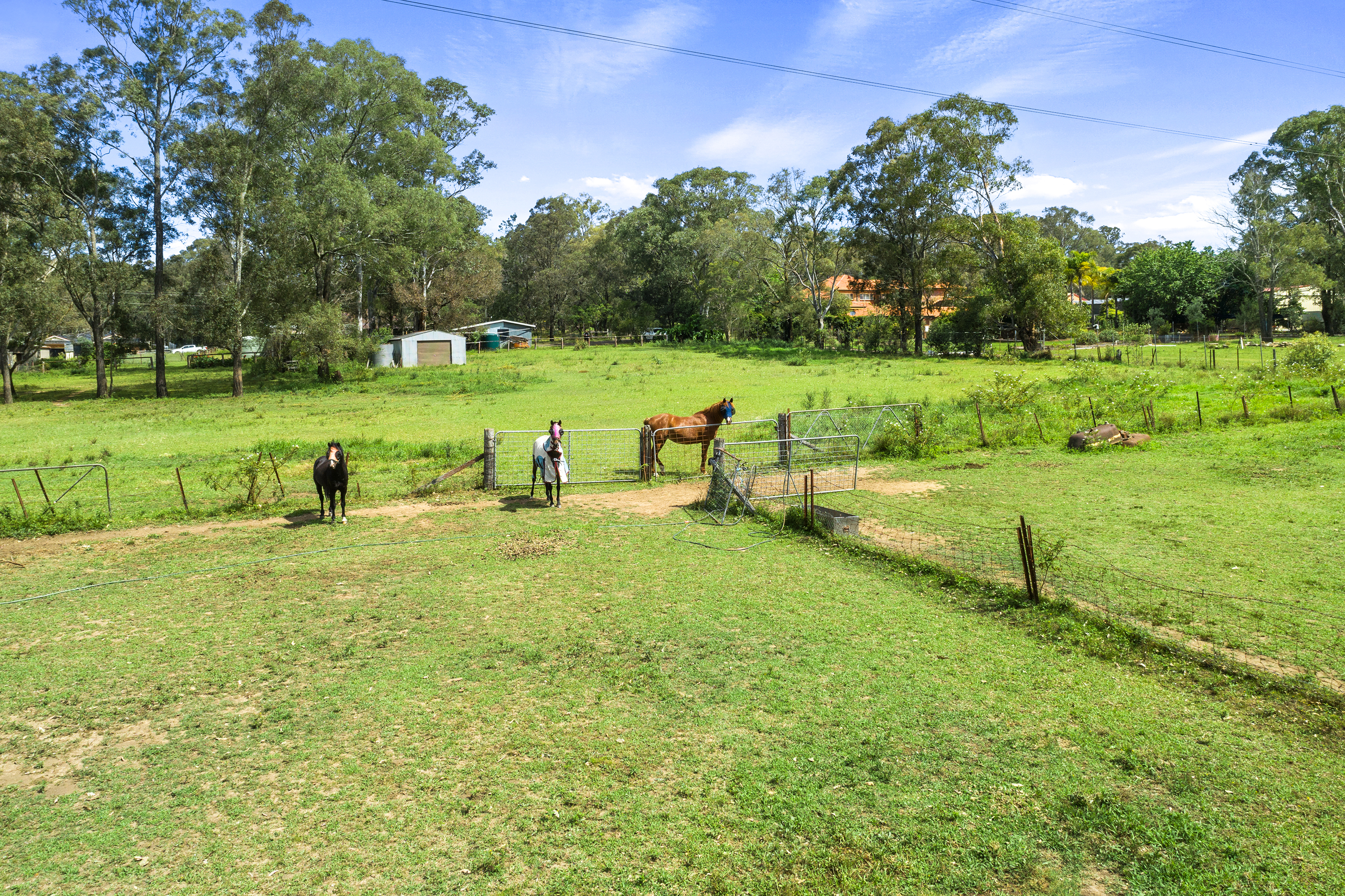 62 Guntawong Road, Rouse Hill Sold by Cutcliffe Properties - image 13