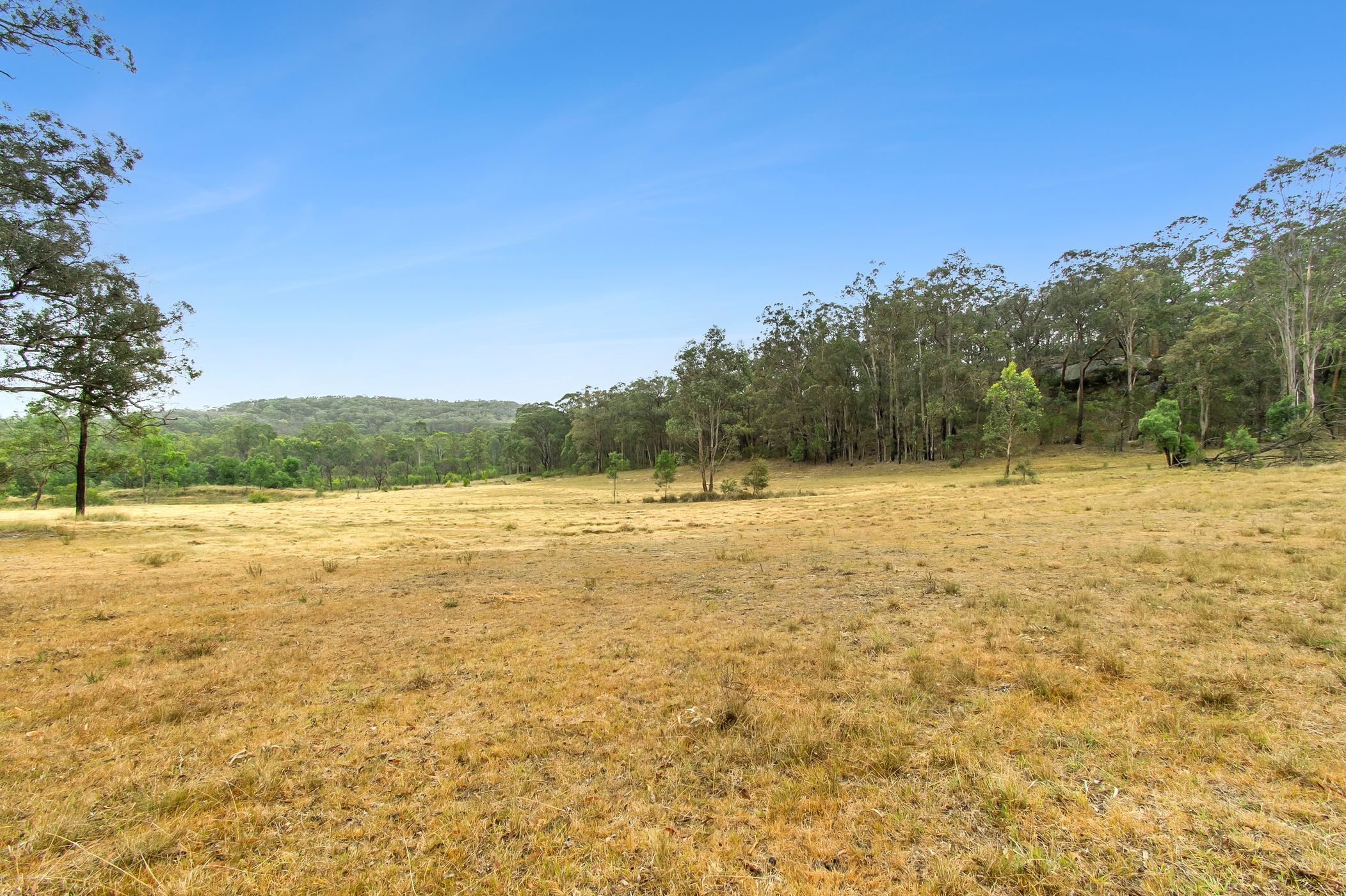 177 Box Gap Road, Putty Sold by Cutcliffe Properties - image 5