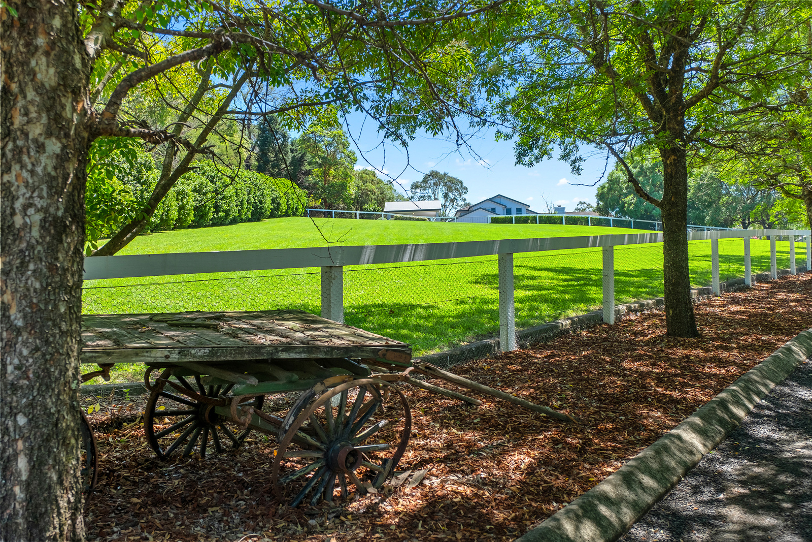 582 Bells Line of Road, Kurmond For Sale by Cutcliffe Properties - image 29