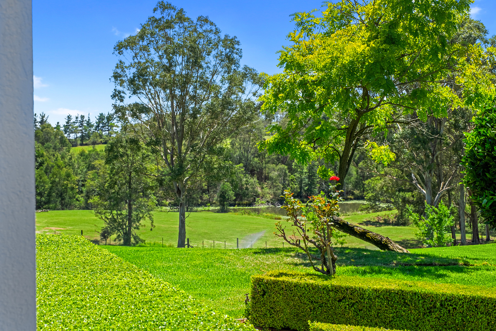582 Bells Line of Road, Kurmond For Sale by Cutcliffe Properties - image 24