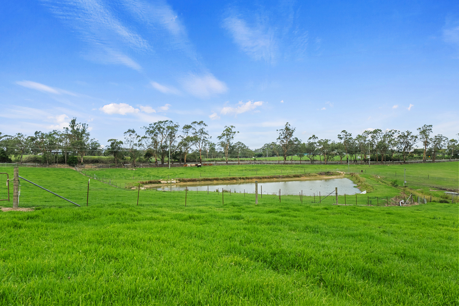 780 Wisemans Ferry Road, South Maroota For Sale by Cutcliffe Properties - image 13