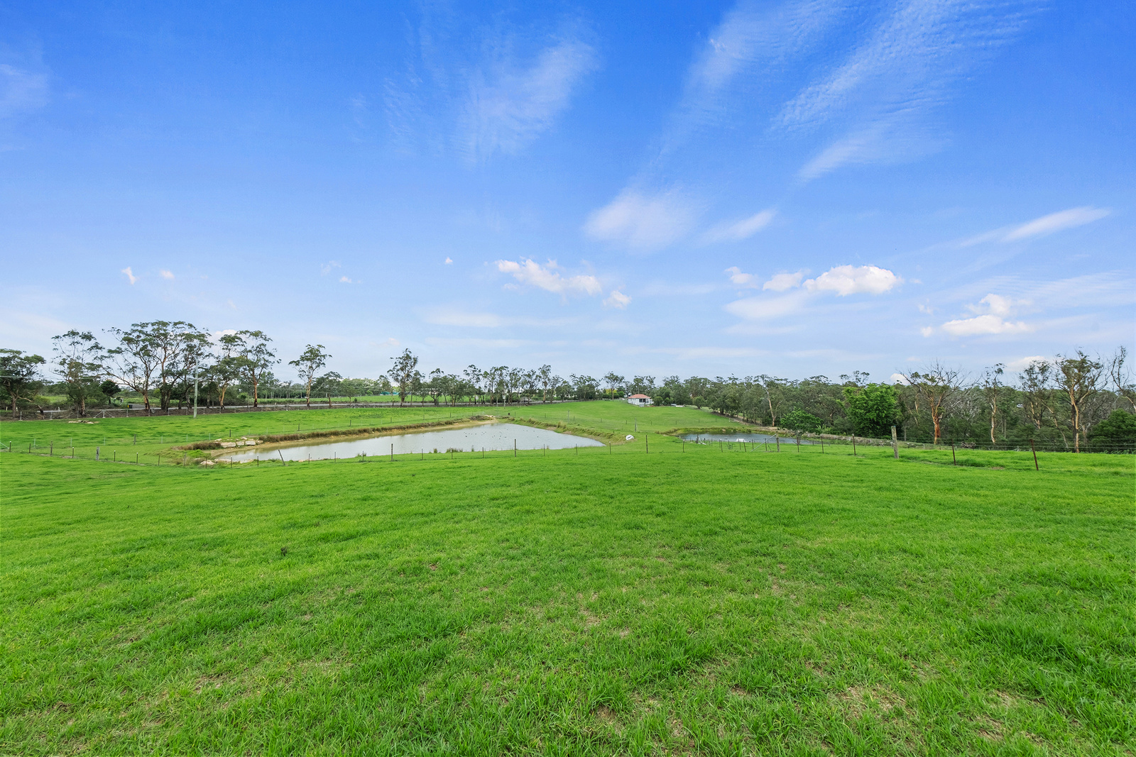 780 Wisemans Ferry Road, South Maroota For Sale by Cutcliffe Properties - image 4