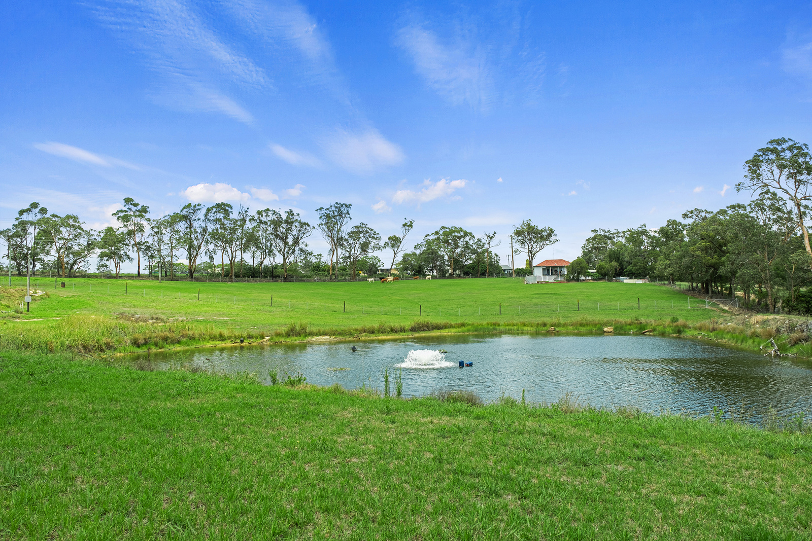 780 Wisemans Ferry Road, South Maroota For Sale by Cutcliffe Properties - image 3