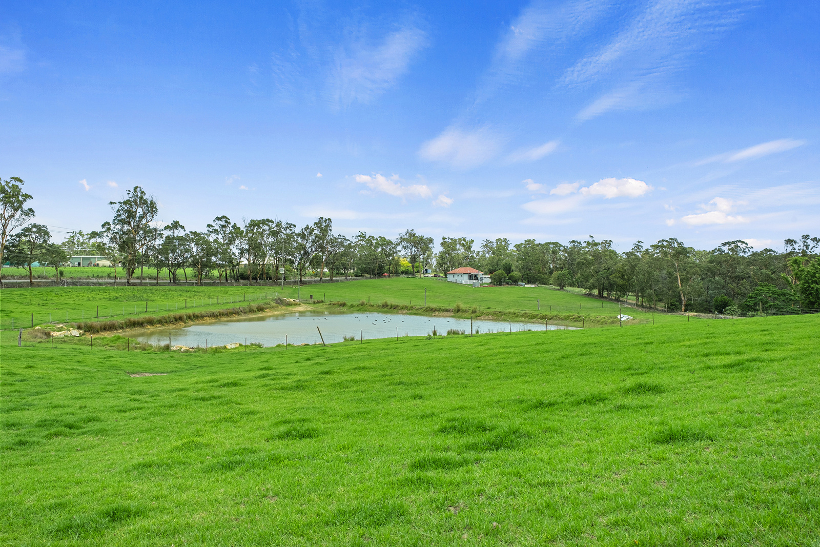 780 Wisemans Ferry Road, South Maroota For Sale by Cutcliffe Properties - image 16