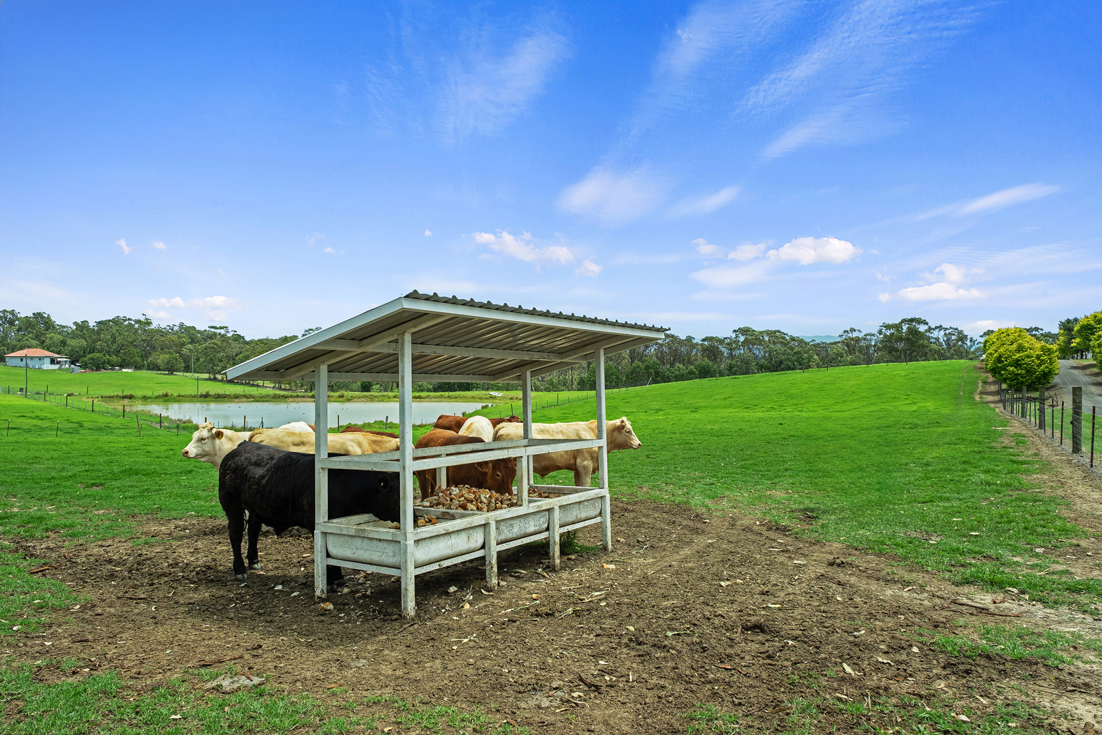 780 Wisemans Ferry Road, South Maroota For Sale by Cutcliffe Properties - image 15