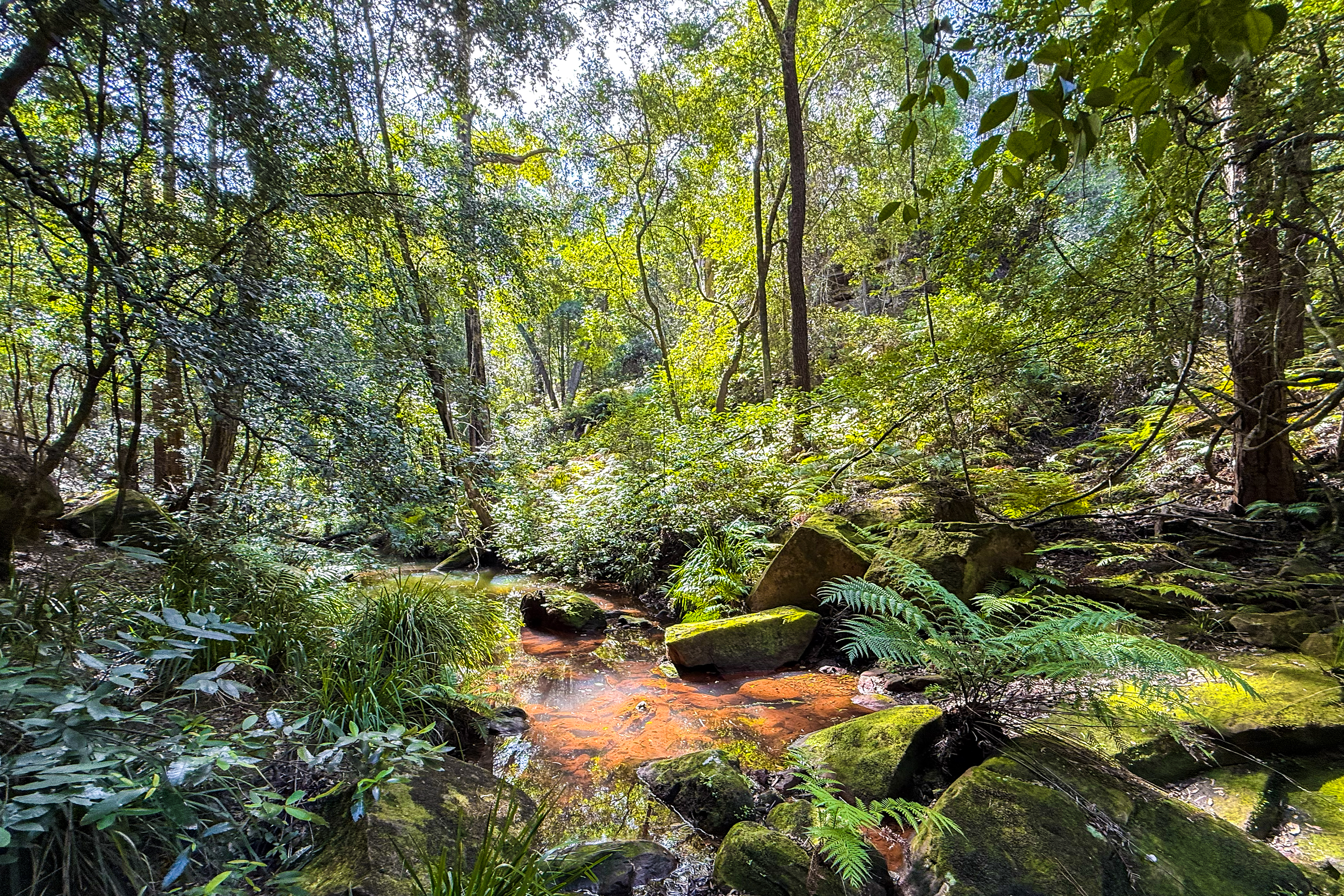 433 East Kurrajong Road, East Kurrajong For Sale by Cutcliffe Properties - image 26