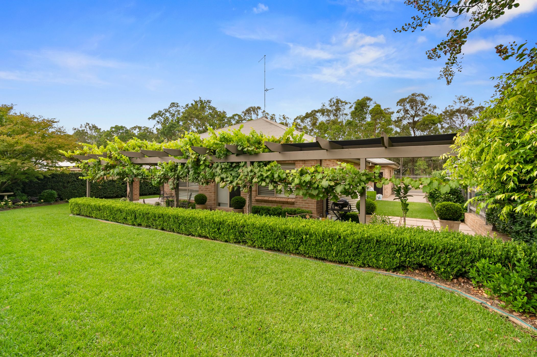 25 Vermont Avenue, Pitt Town Sold by Cutcliffe Properties - image 14