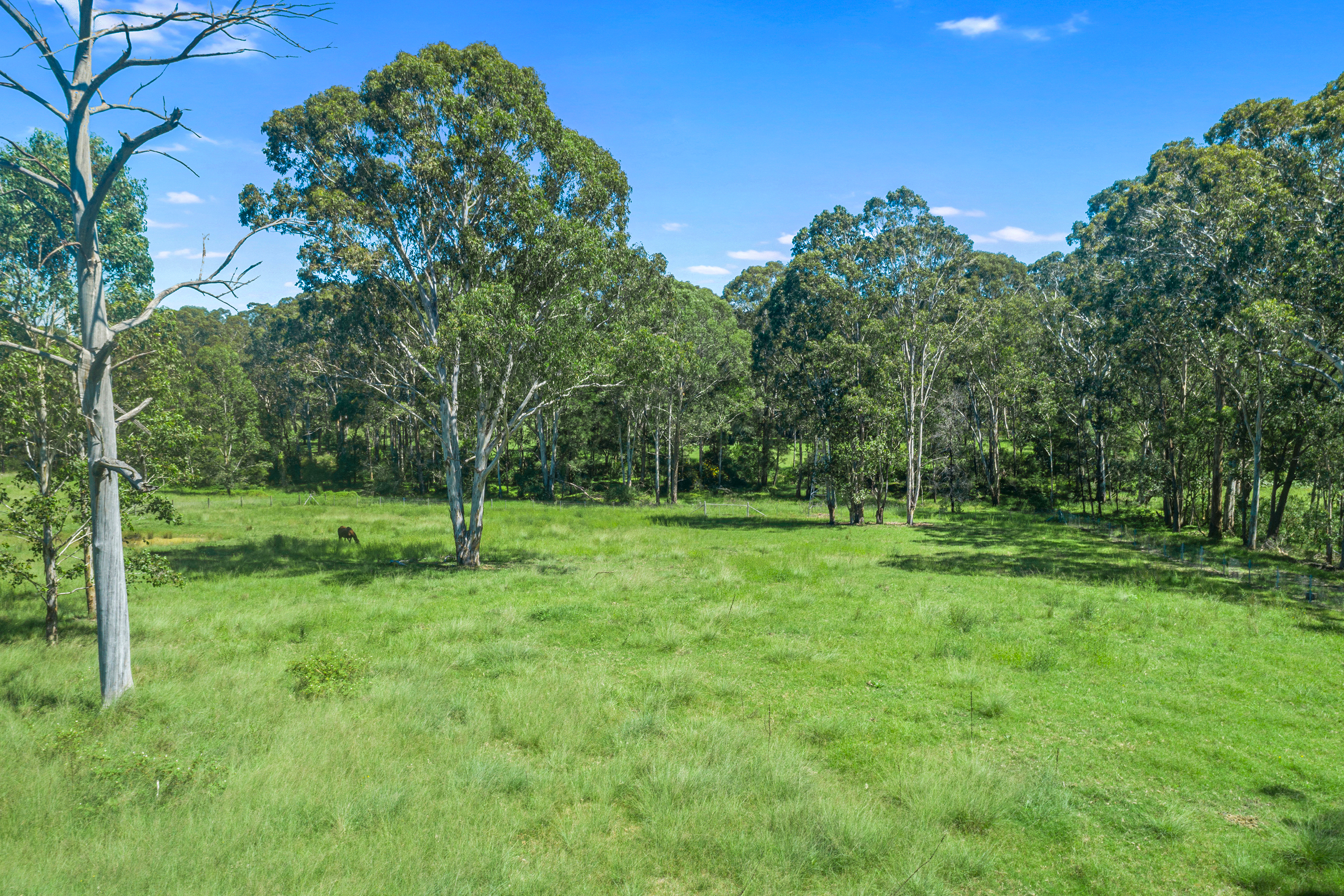 36 Kamrock Grove, Wilberforce Auction by Cutcliffe Properties - image 20