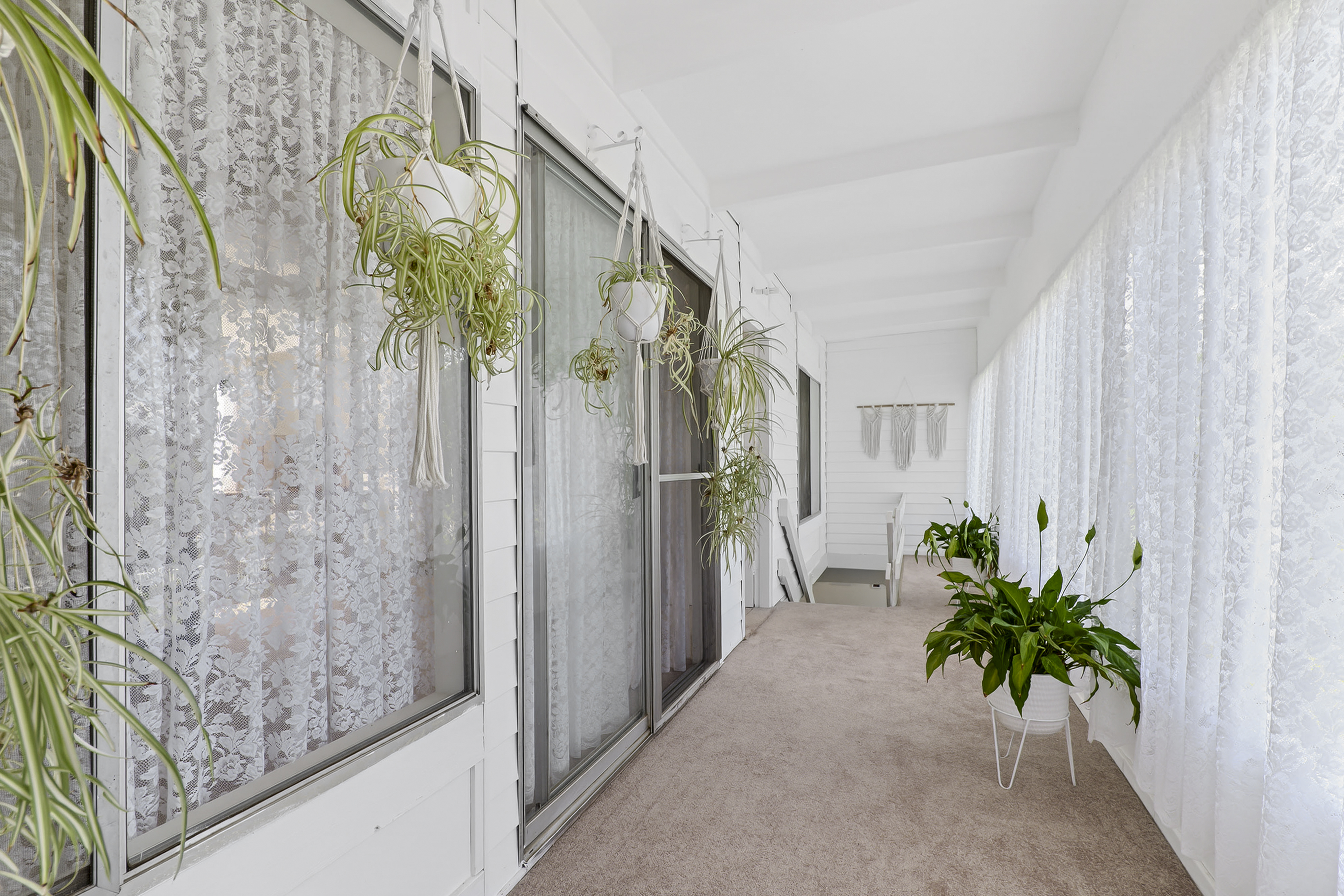 344 Second Avenue, Llandilo Auction by Cutcliffe Properties - image 17
