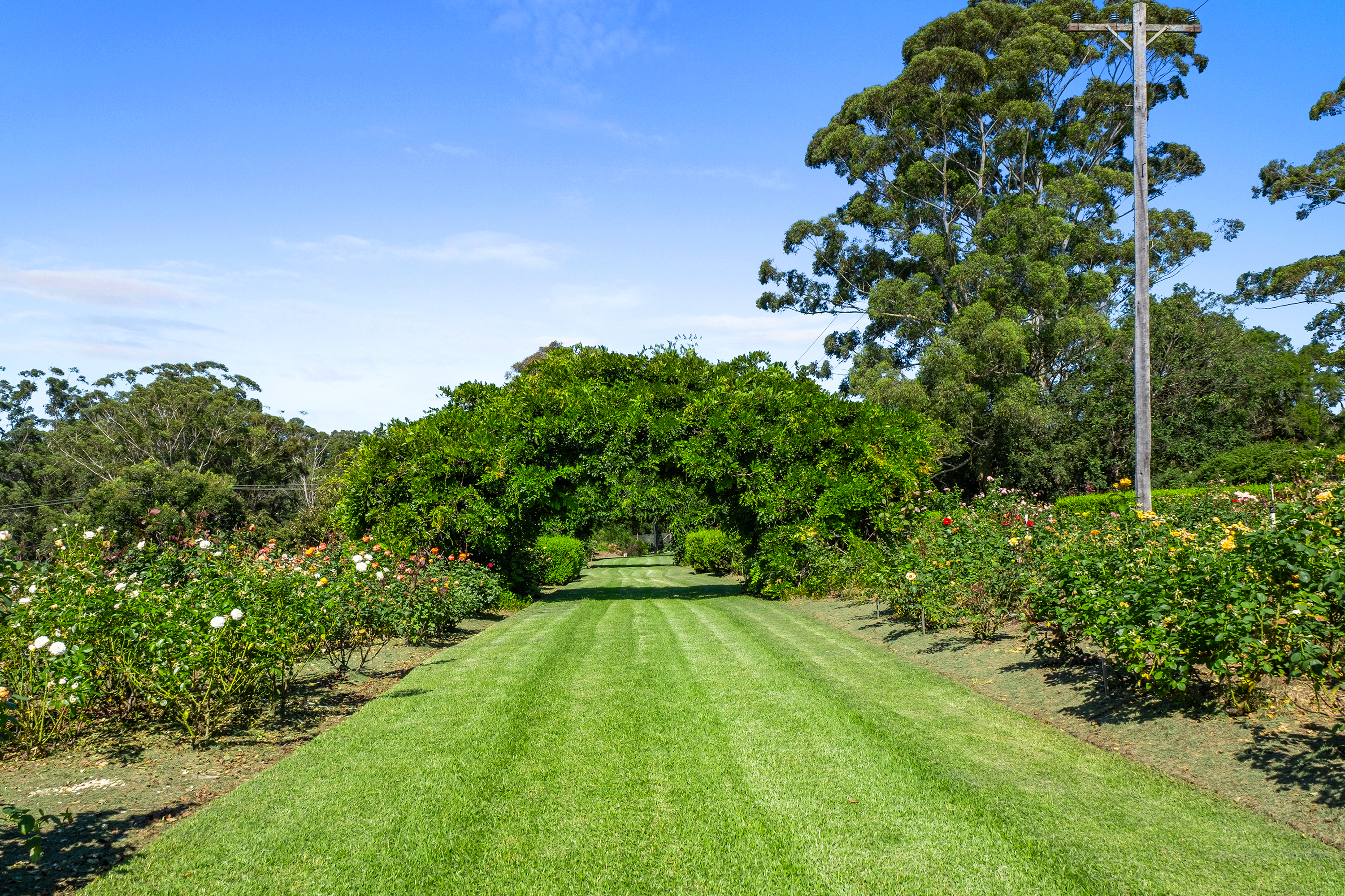 490-498 Galston Road, Dural For Lease by Cutcliffe Properties - image 8