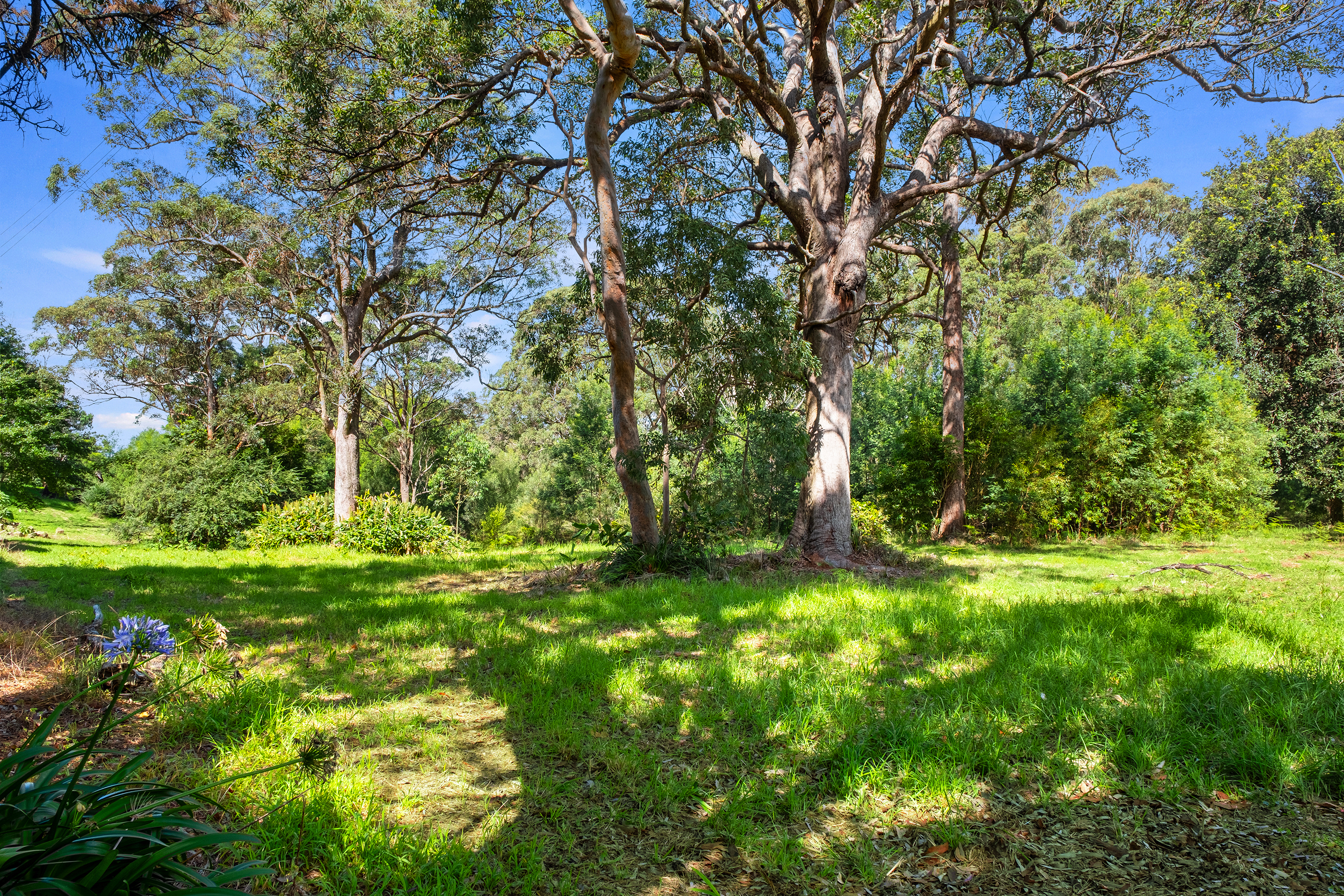 49 Burralow Road, Kurrajong Heights Auction by Cutcliffe Properties - image 2