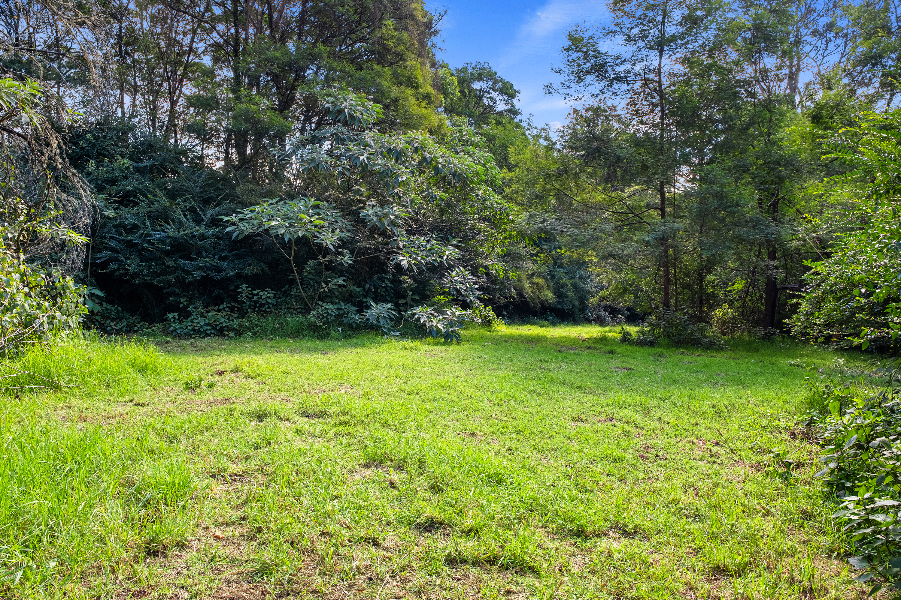 49 Burralow Road, Kurrajong Heights Auction by Cutcliffe Properties - image 10